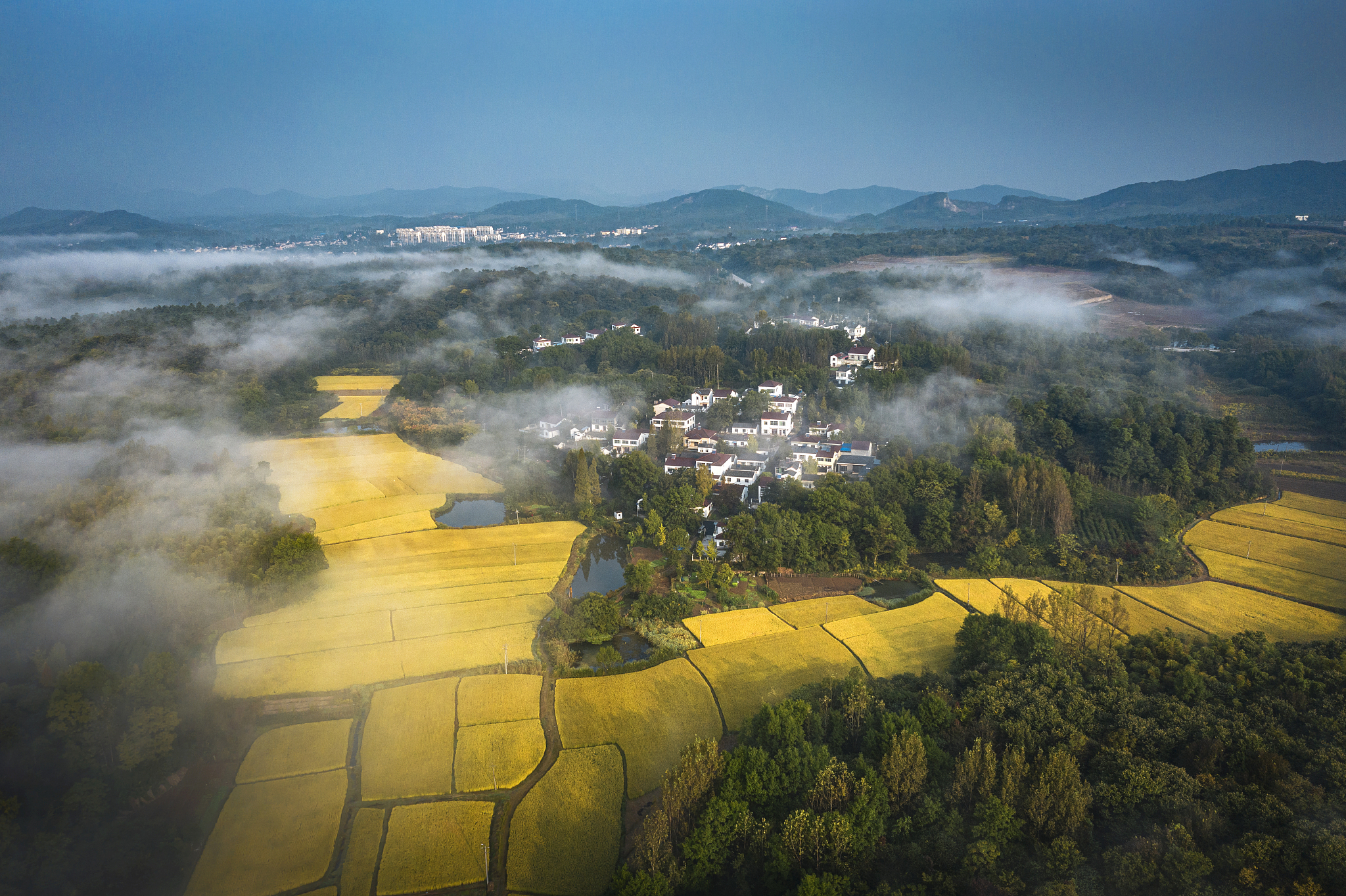 请用100字描述青山连绵薄雾微起两岸房屋树木倒映江中岸边郁郁葱葱油菜花盛开黄黄的