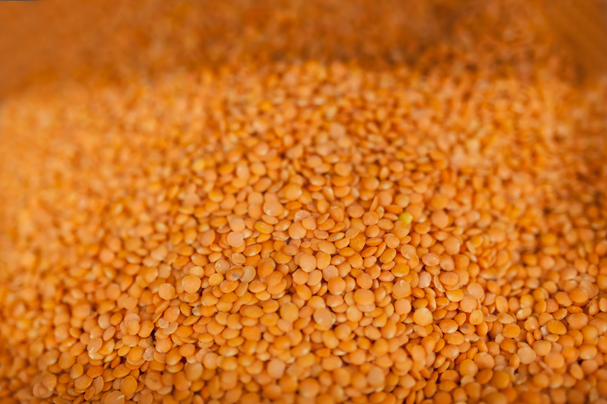 beans