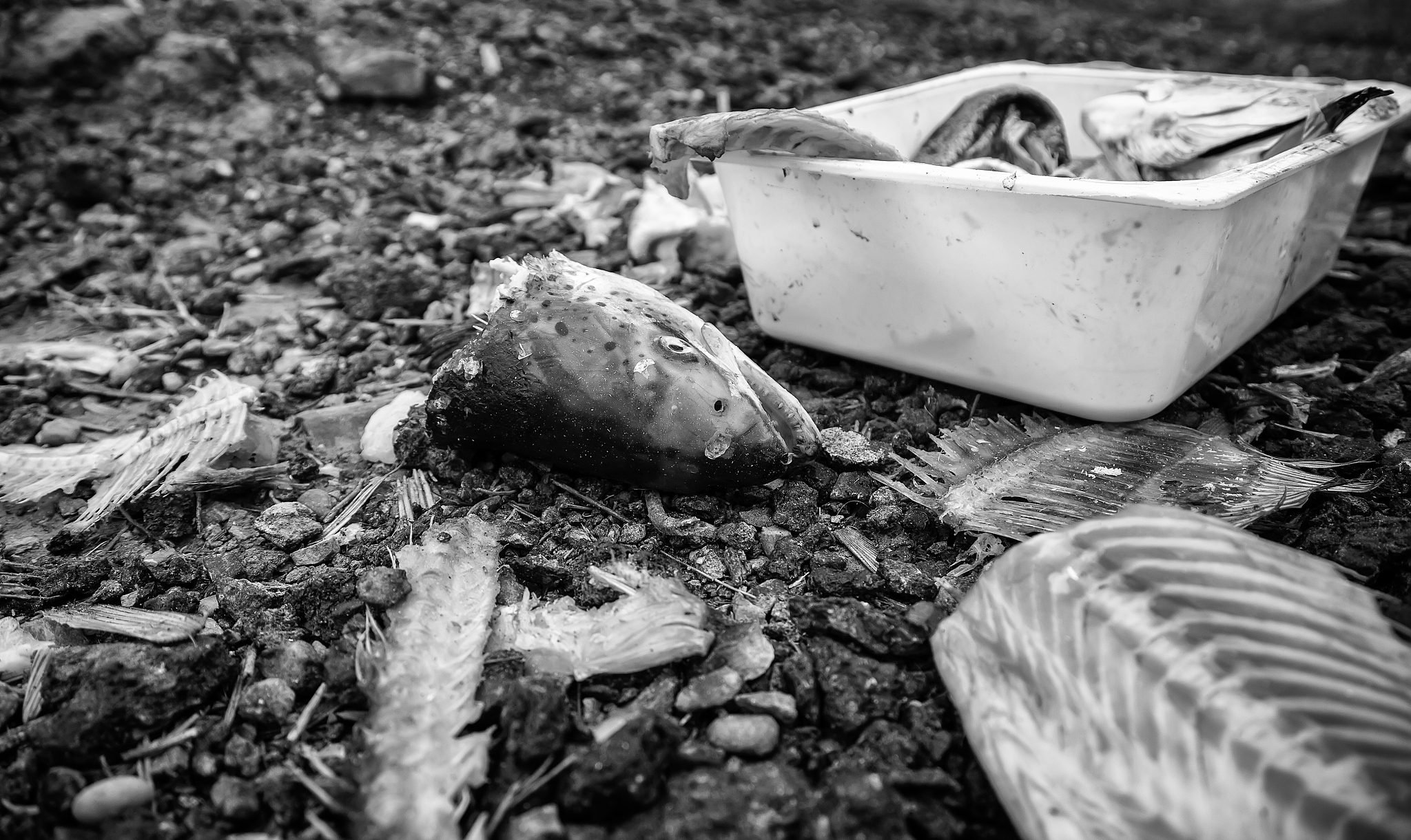 威海市水产学校简介_好不好