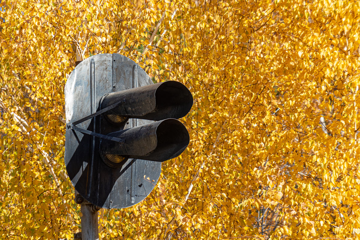 操作系统信号量：若记录型信号量 S 初值为 15，当前值为 -15，则表示什么？