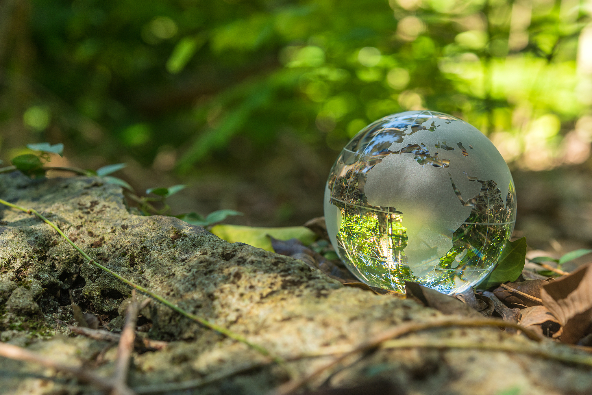 生态旅游中的游客可持续发展价值游客可能会对旅游活动的环境友好性、社会责任和经济可持续性感到关注这一方面展开讲