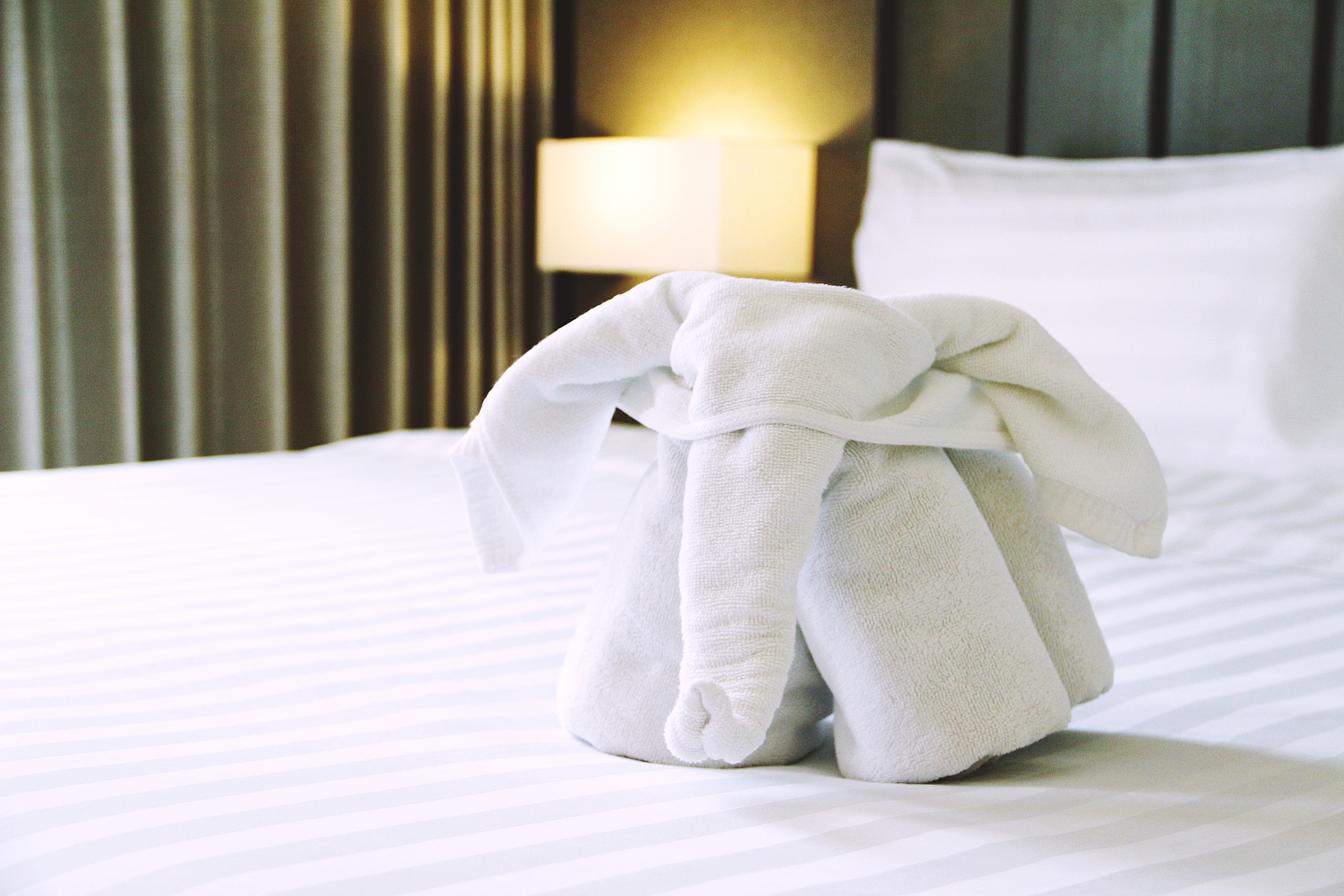 welcome white elephant towel