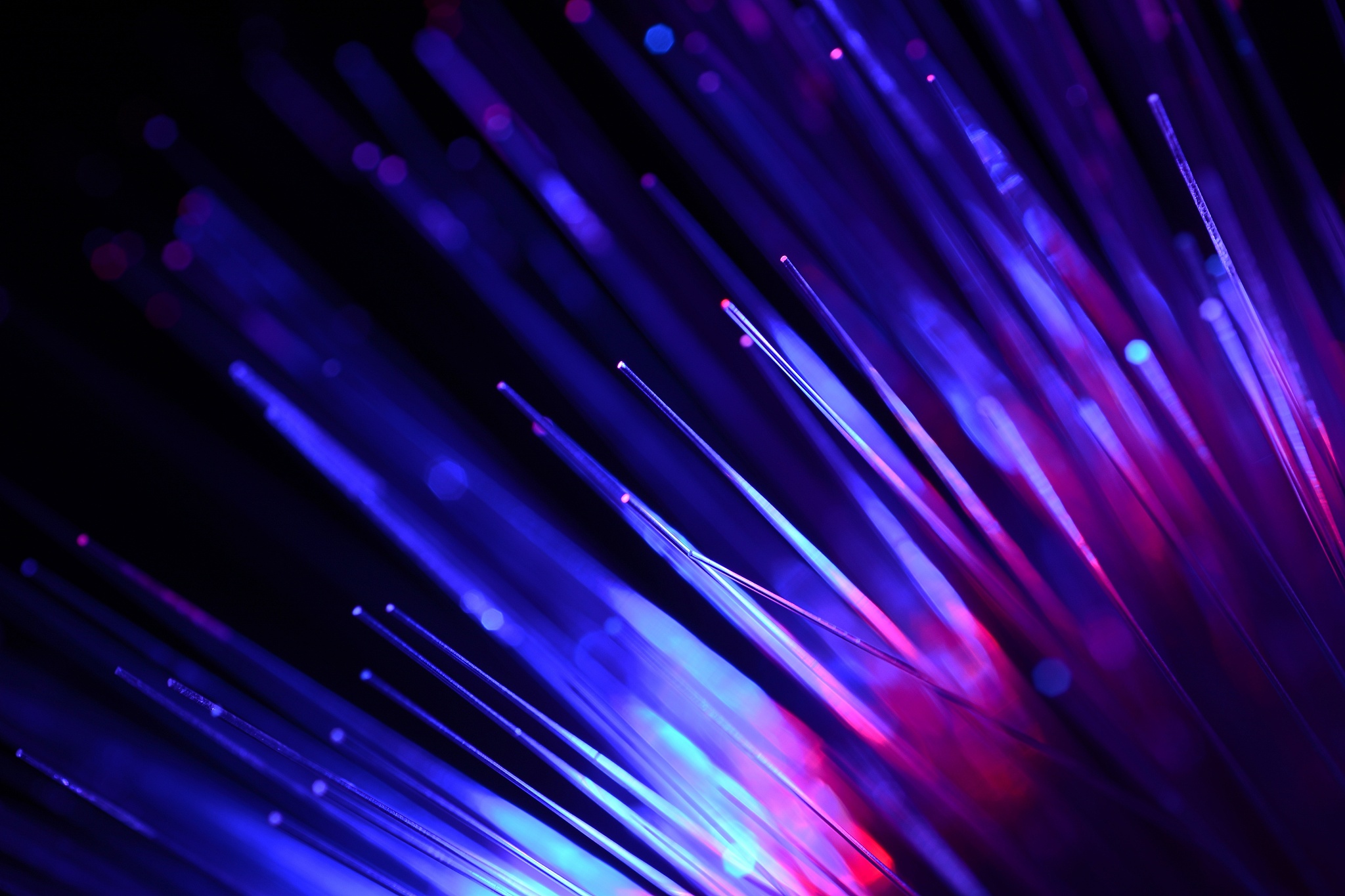 JOURNAL OF BIOMEDICAL OPTICS 期刊研究范围详解