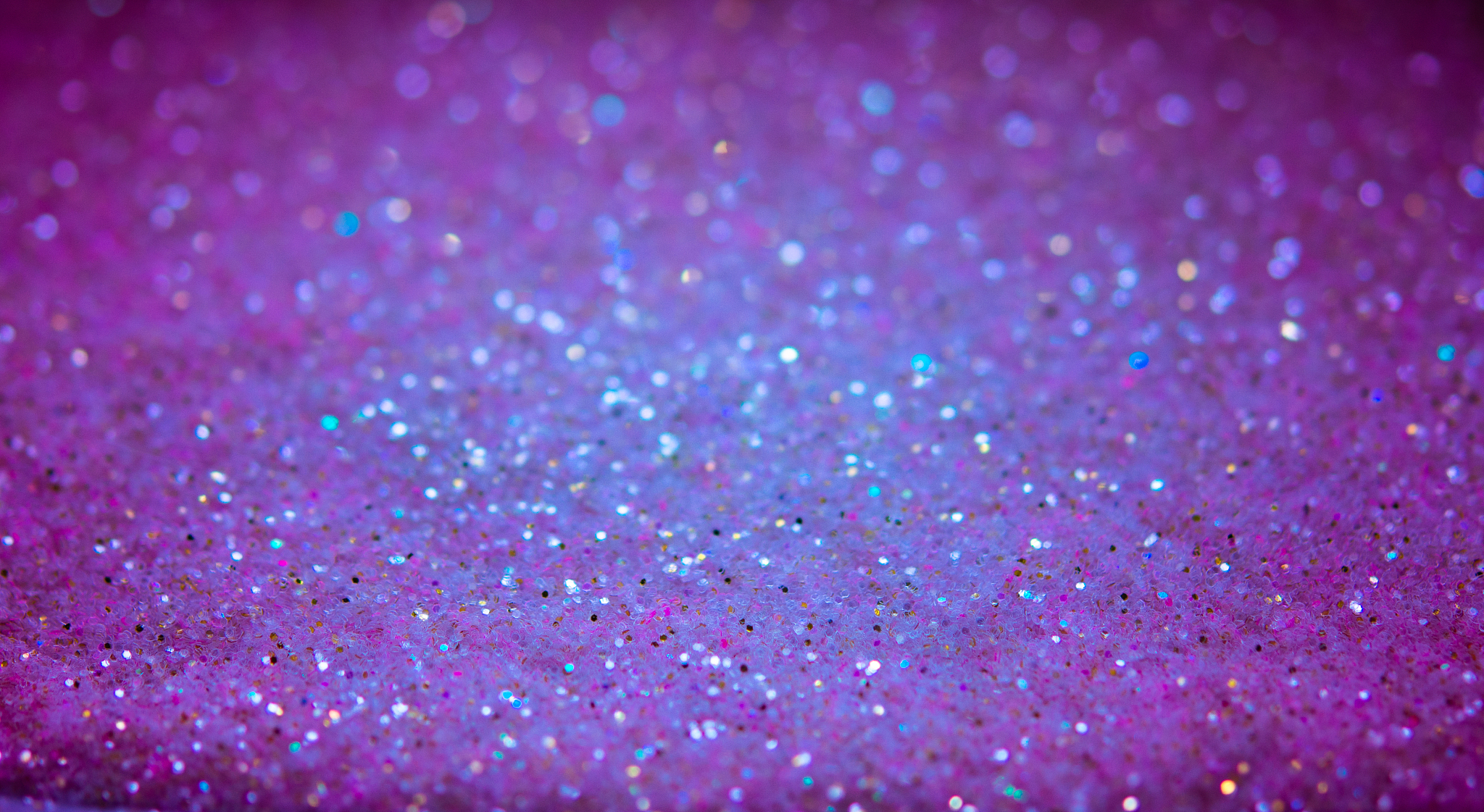 东北农业大学的农林经济管理专业培养目标