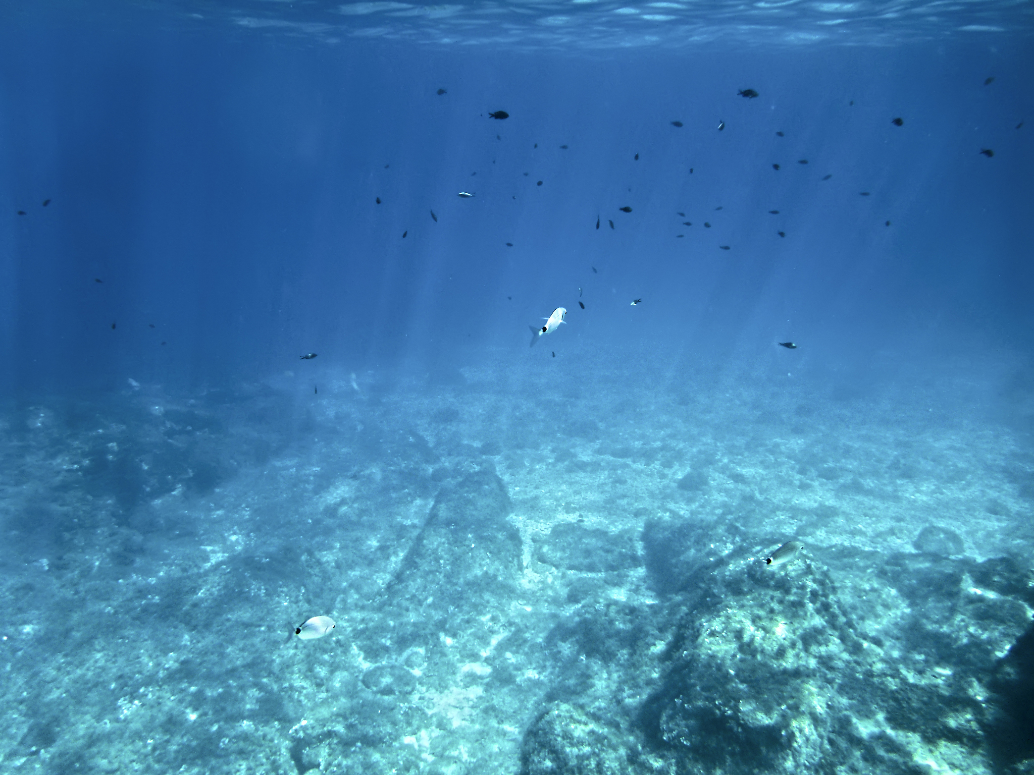 underwater world