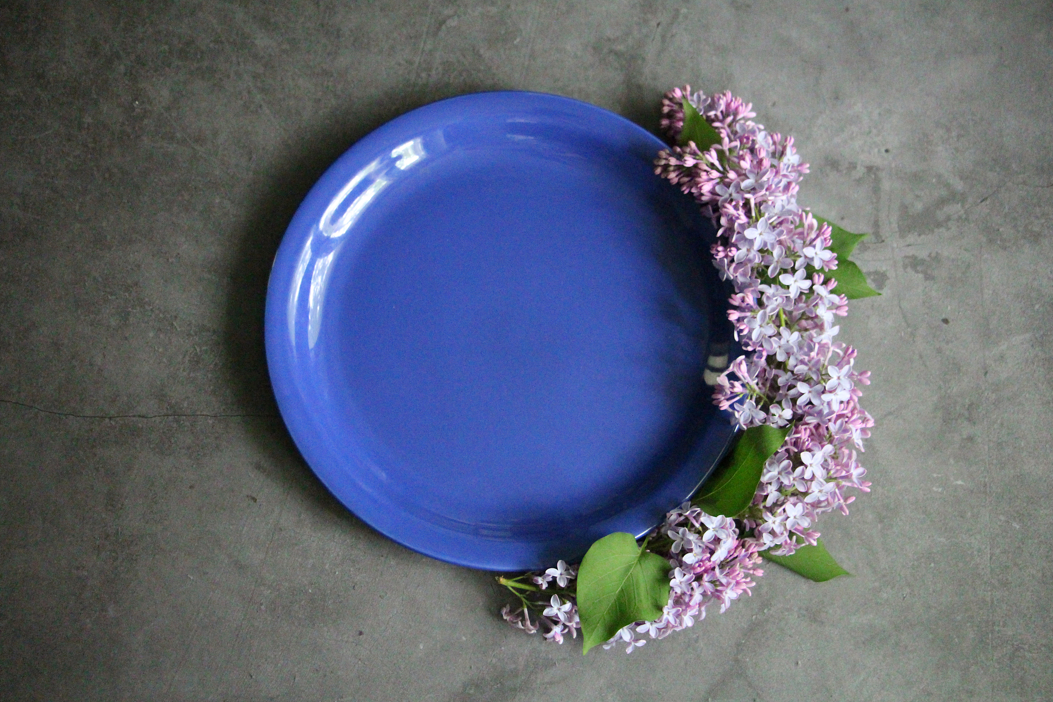 a bouquet of lilacs lies around the blue plate. the blue plate i