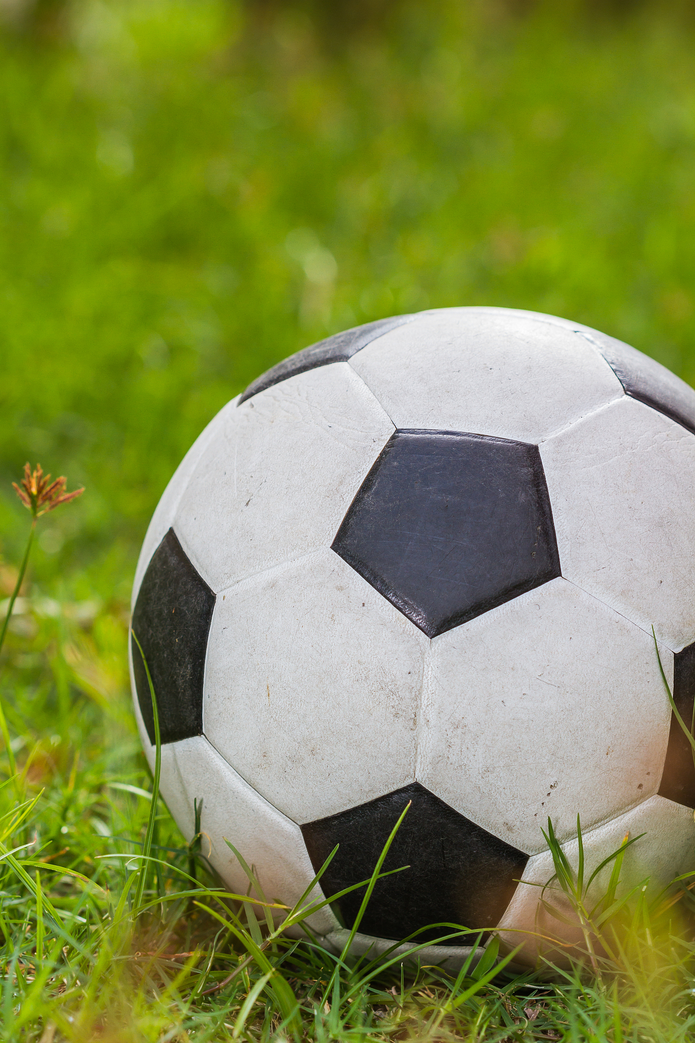 soccer ball