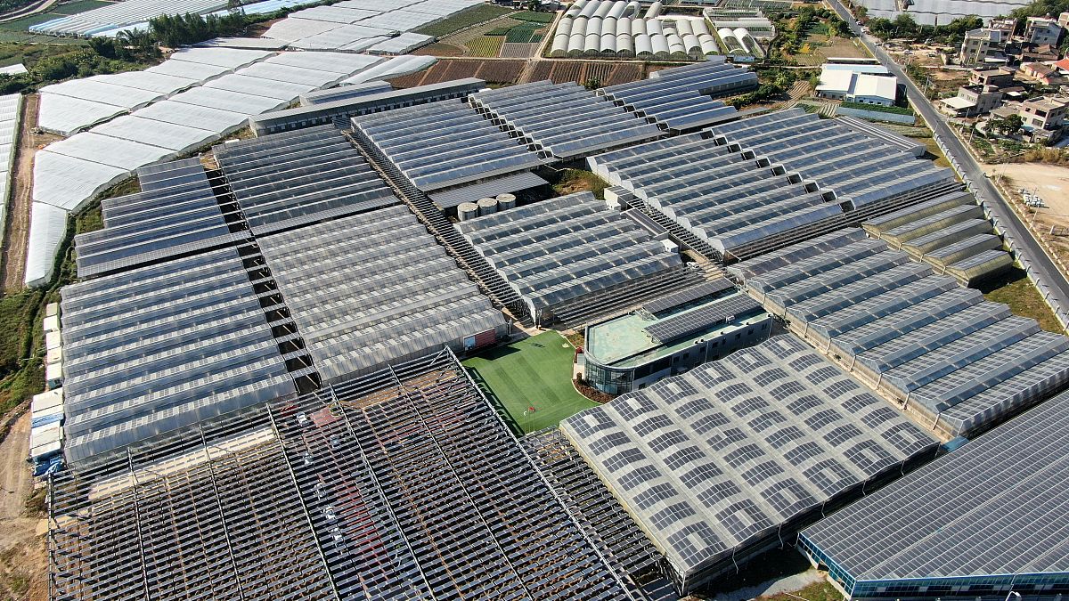 隆基绿能成立于哪一年？