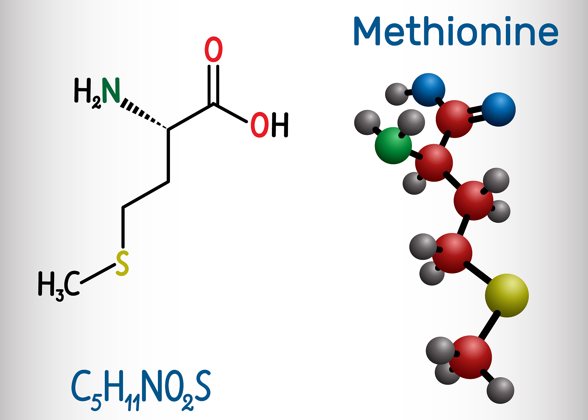 methionine (l- methionine, met , m) essential amino acid molecul