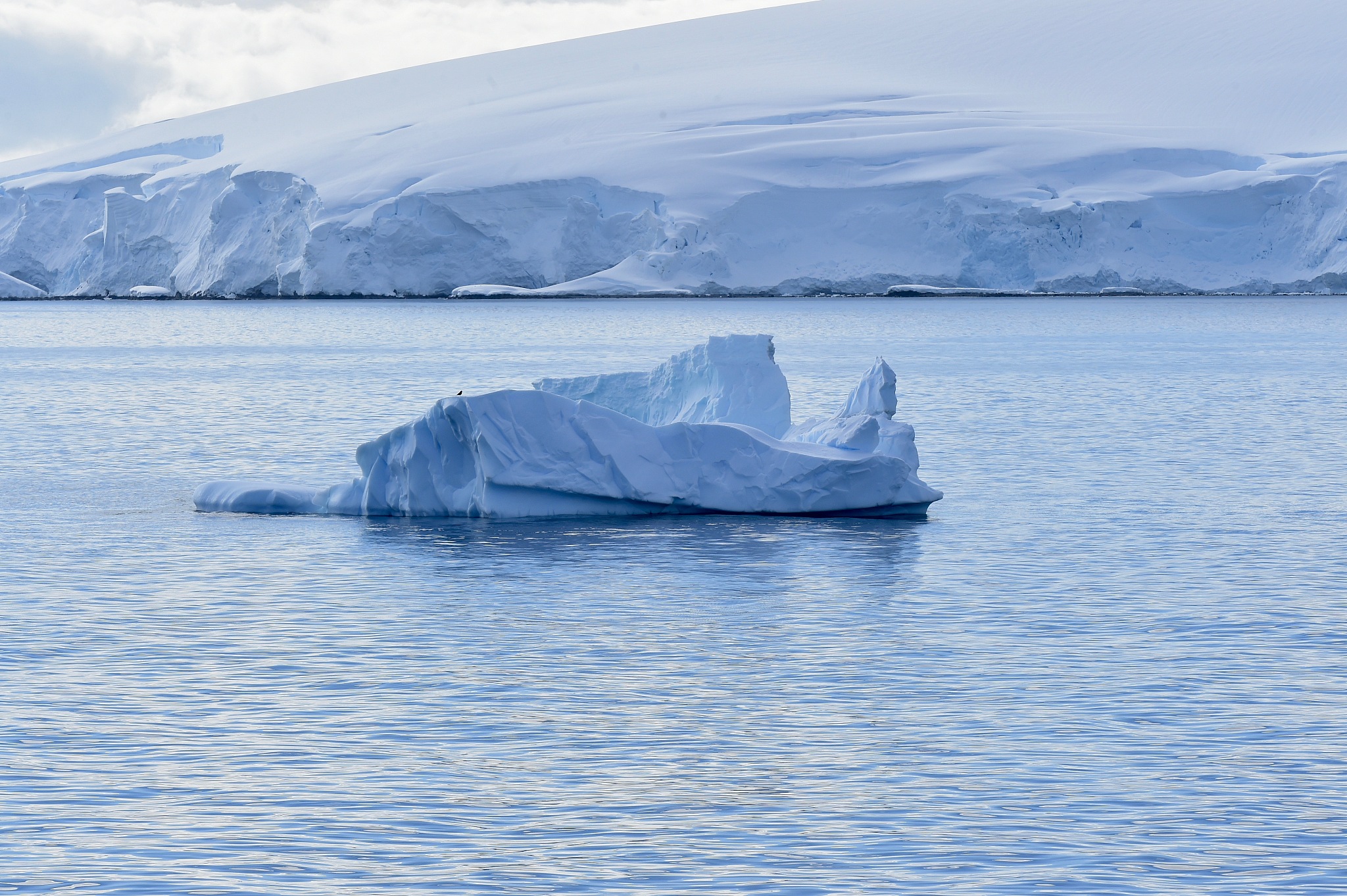 antarctica