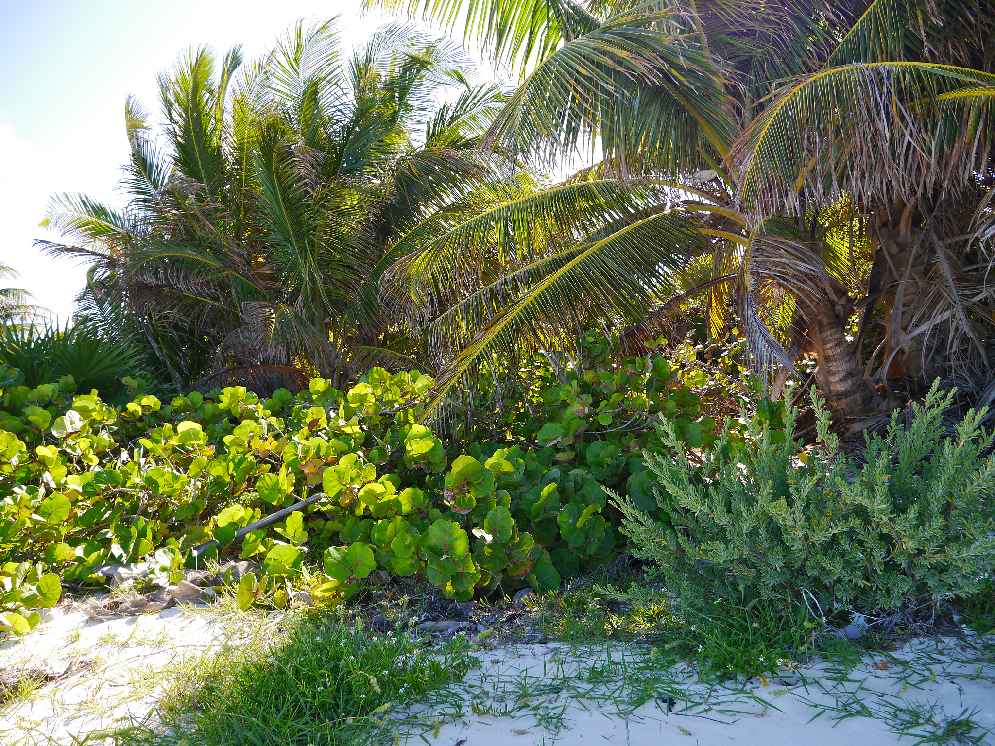 自然保护区：生命的摇篮，自然的画卷