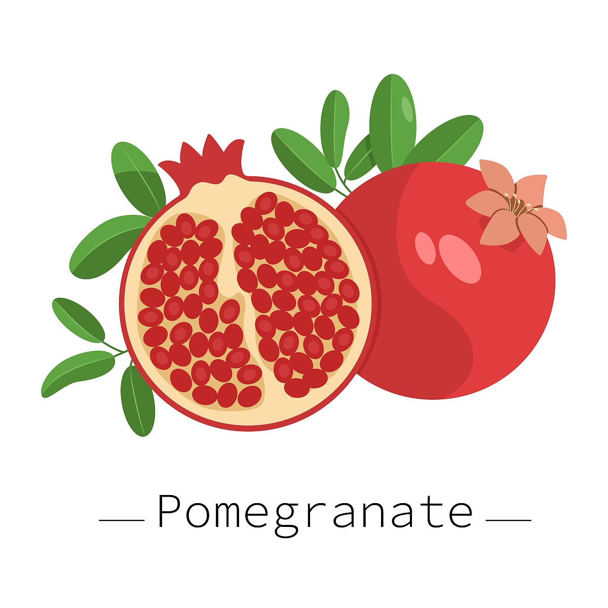 小学生升旗仪式主持词：石榴籽，心连心，共筑家国梦