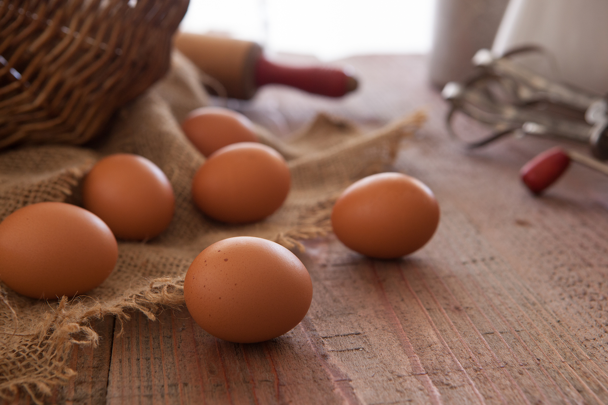 fresh eggs