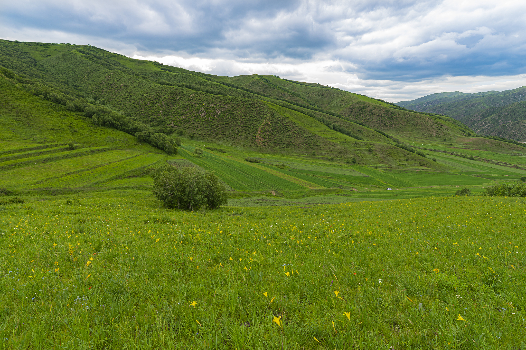 中国植被类型 - 丰富多样的生态系统