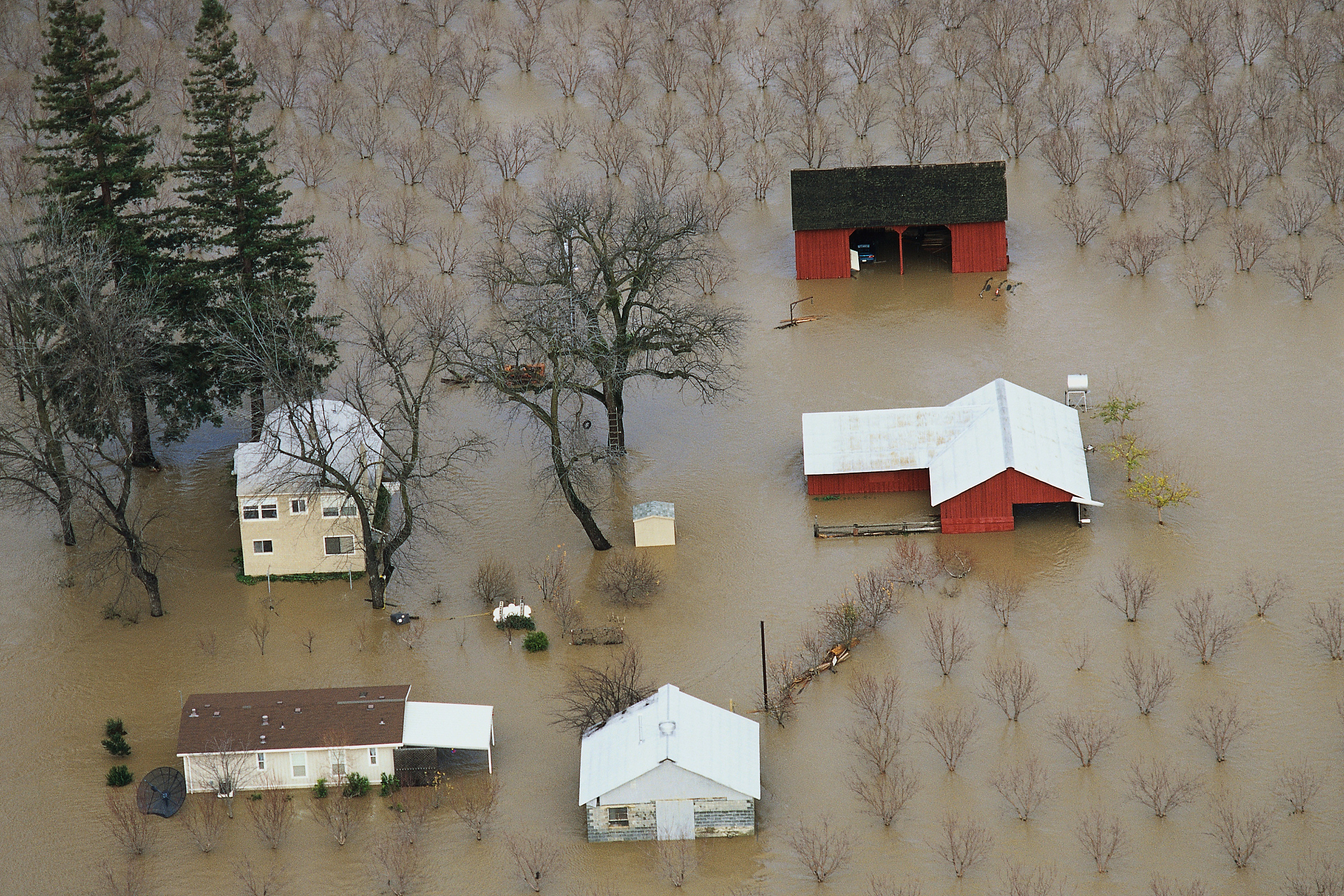 请描述一款游戏的机制，预计该机制制作的游戏可以四年卖出5000万份