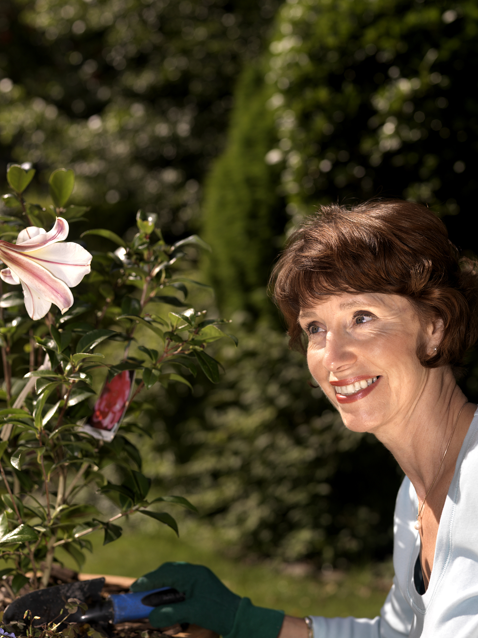 摄影高手都具备那些特点写一篇500字的文章