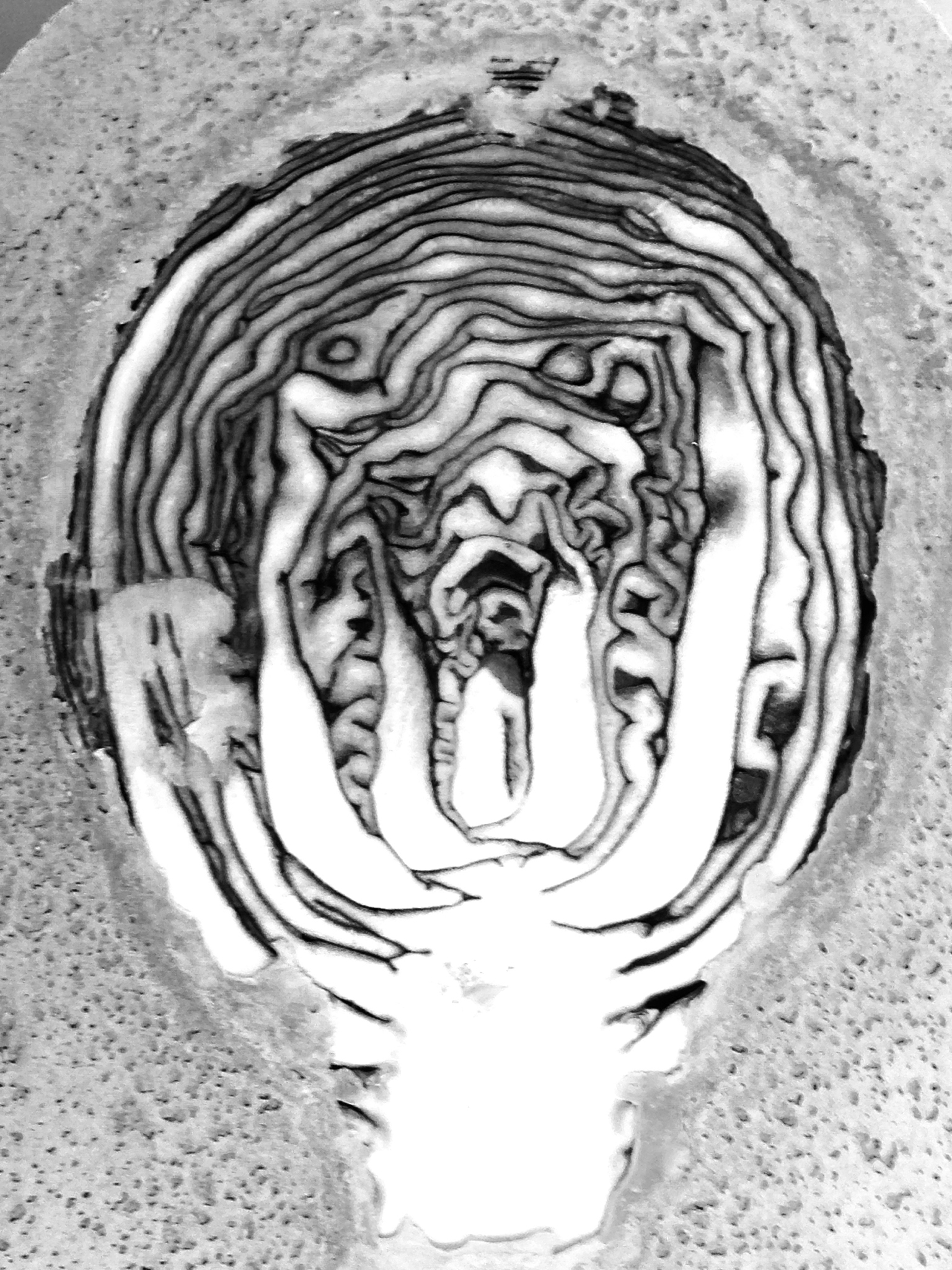 哄睡故事：慧悔和小球球