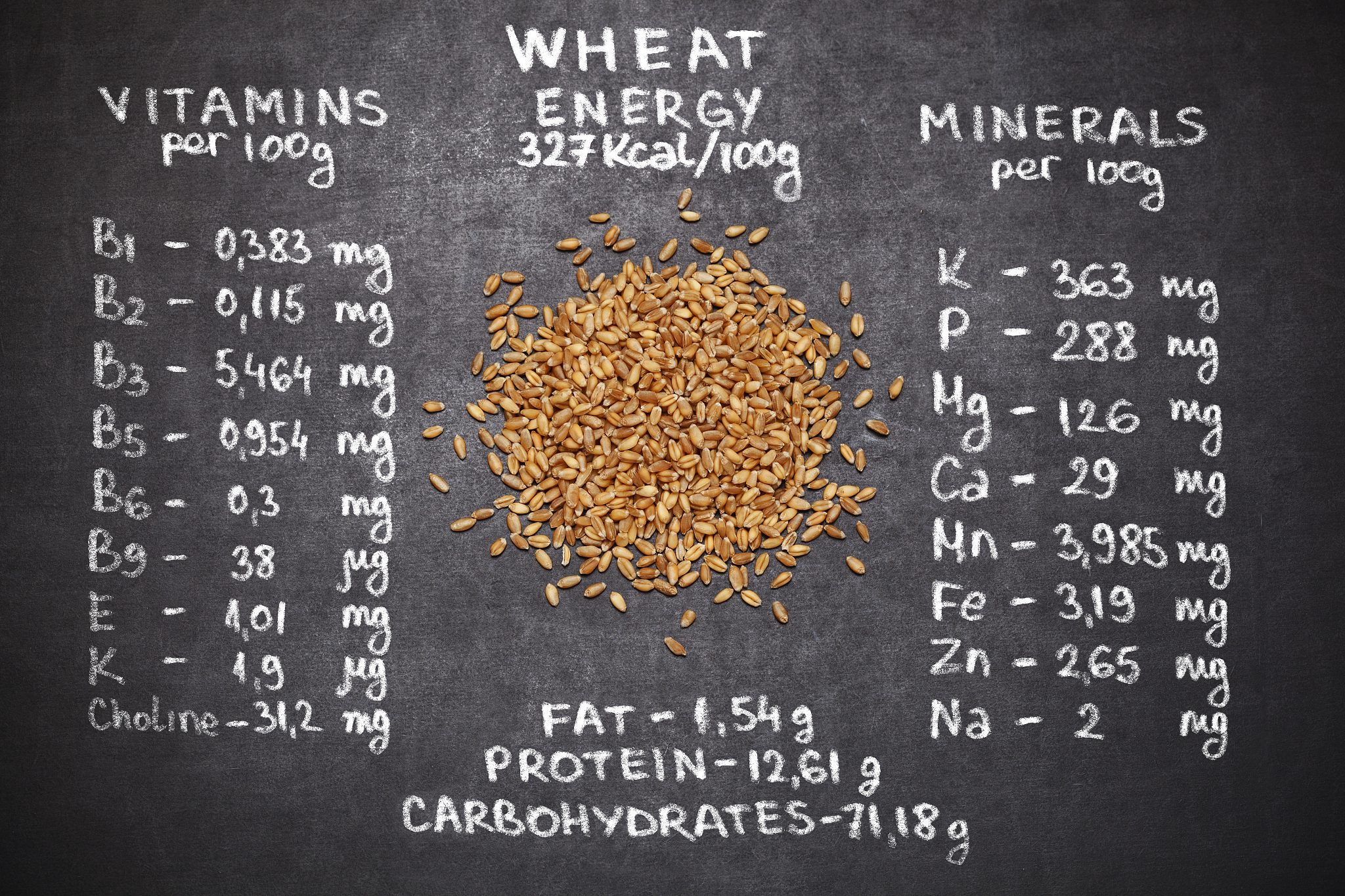 生物化学名词解释：必学重要概念 - 考试备考指南