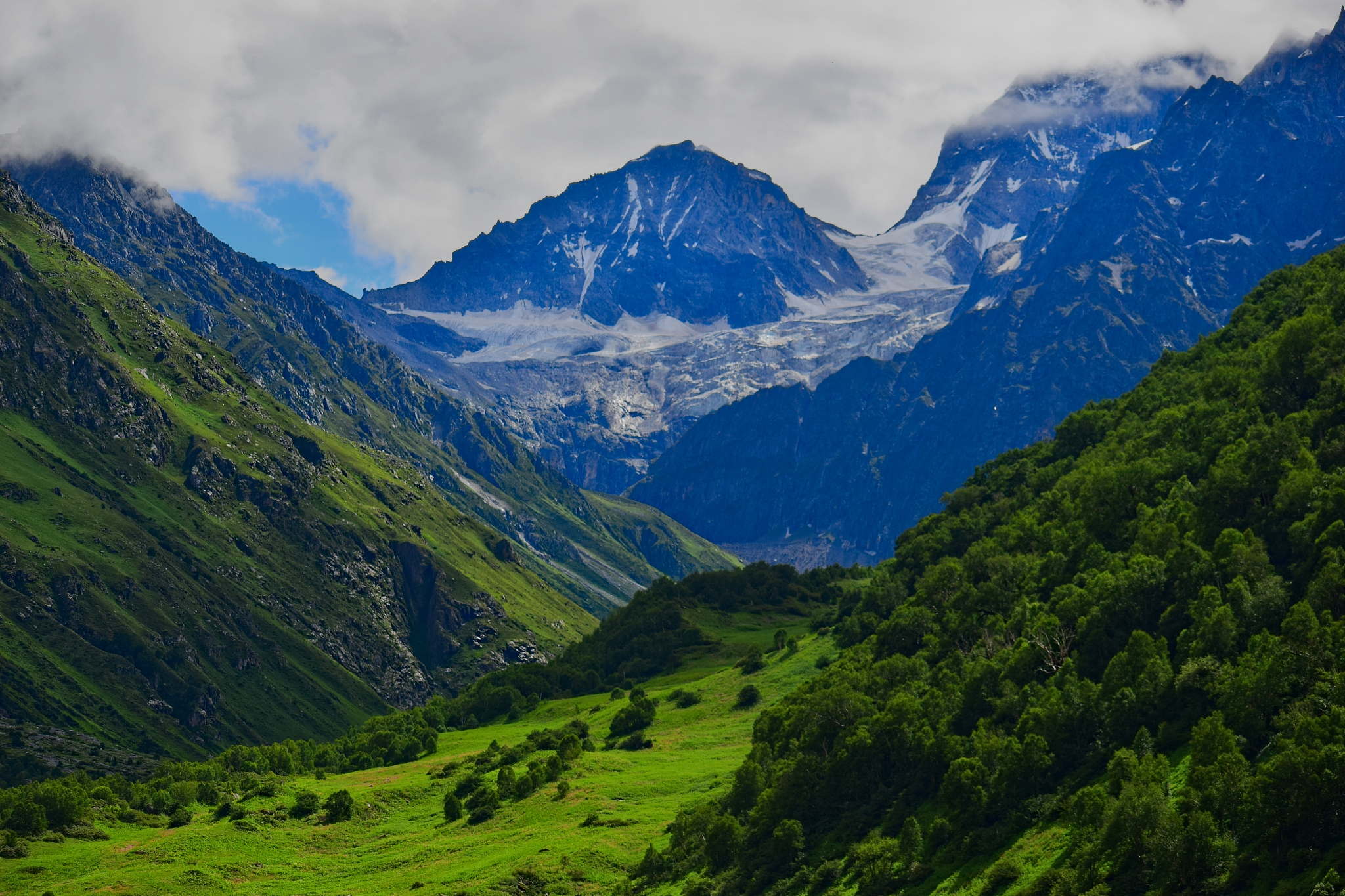 valley of flowers national park