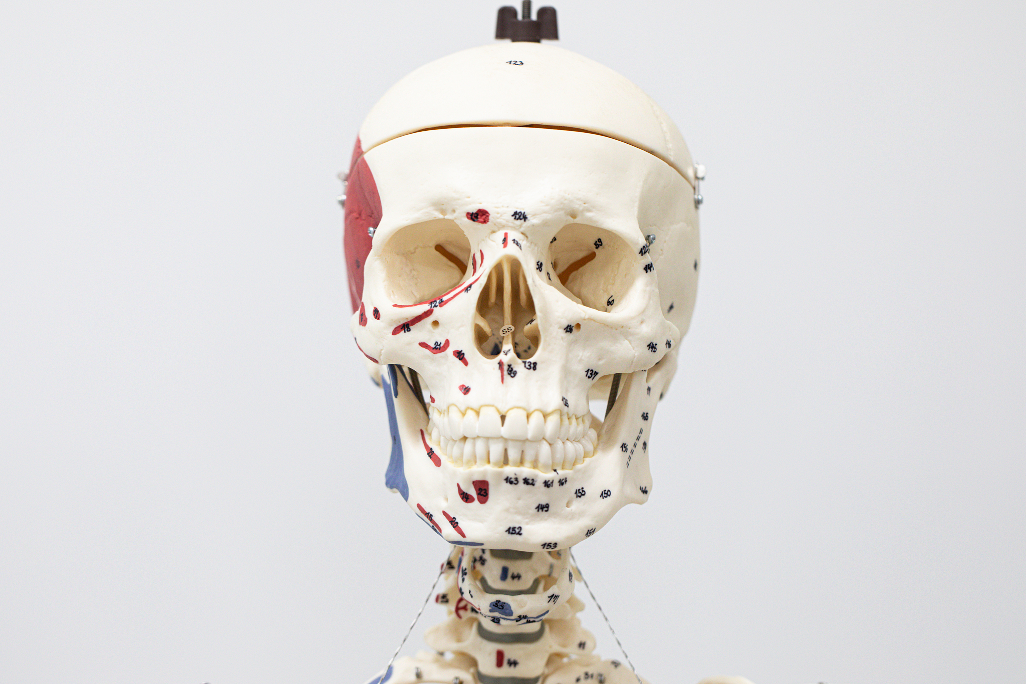 张苓芝肚子疼原因分析：可能病因及就医建议