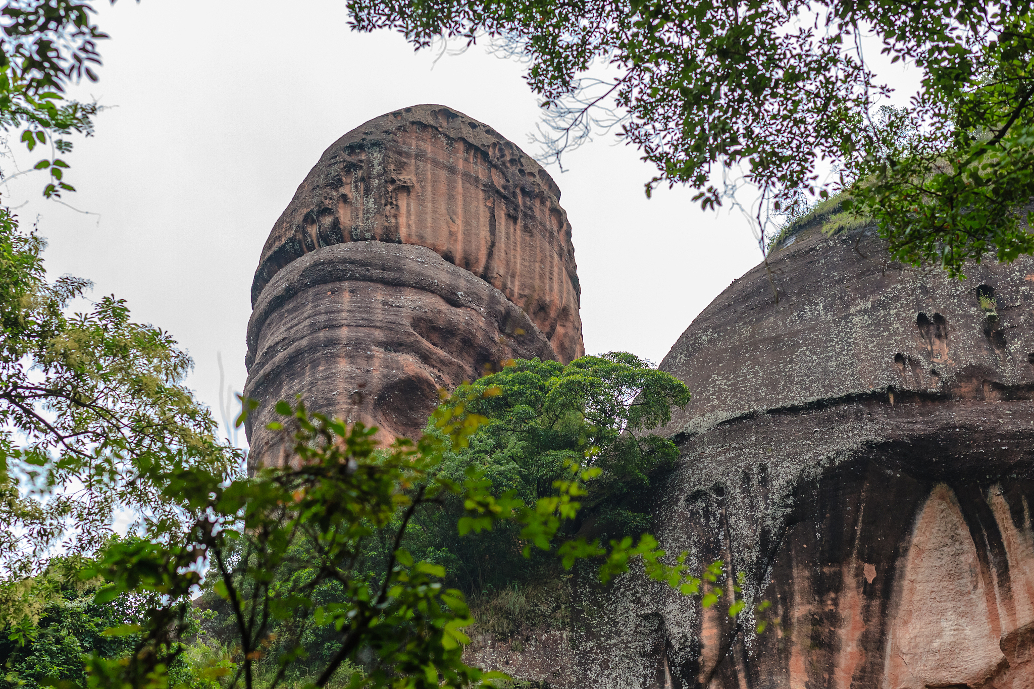 广州韶关丹霞山世界地质公园野生植物辨认赛事预热报名推文1000字
