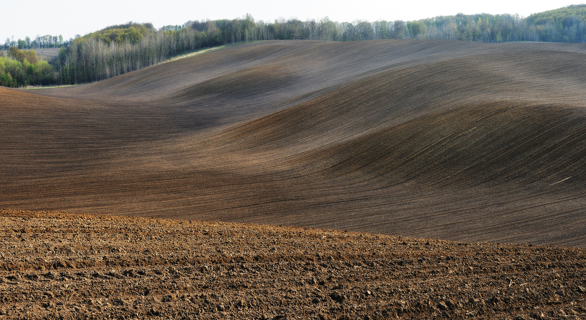 field