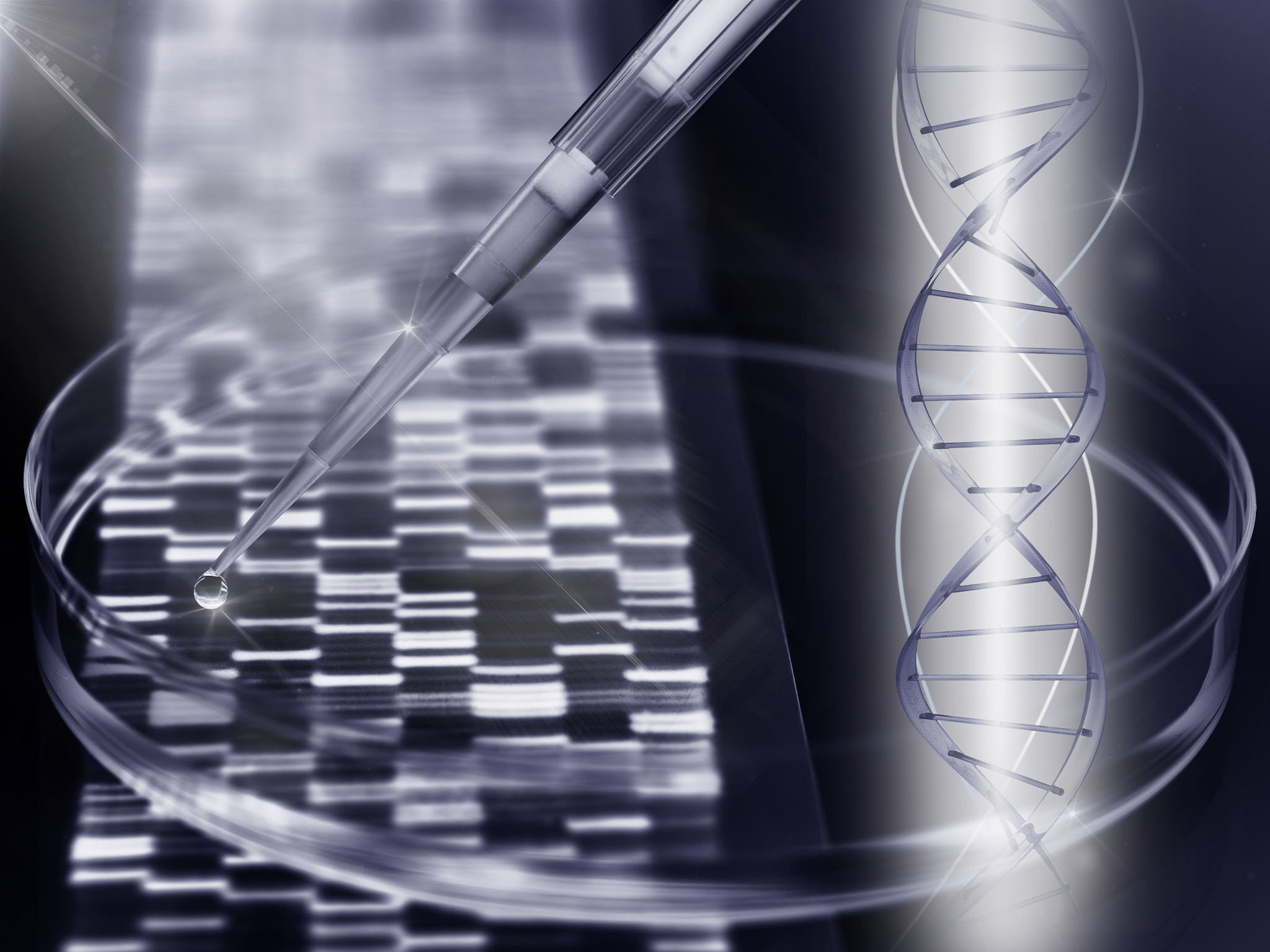 JOURNAL OF ANIMAL SCIENCE期刊的期刊简介