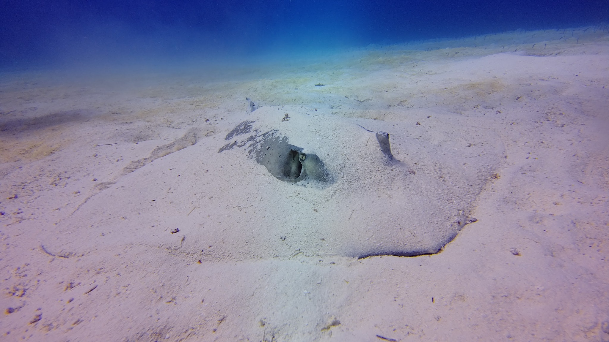 风的赞歌：一首关于自由与力量的诗