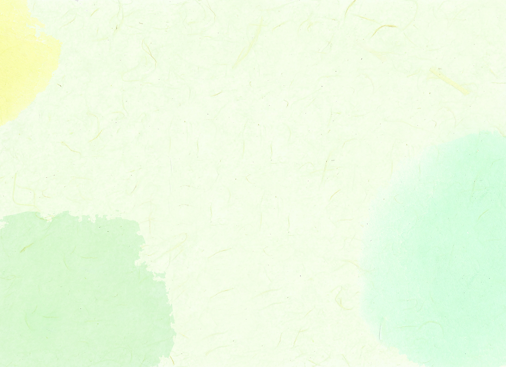 直接酯化法合成对苯二甲酸乙二醇酯