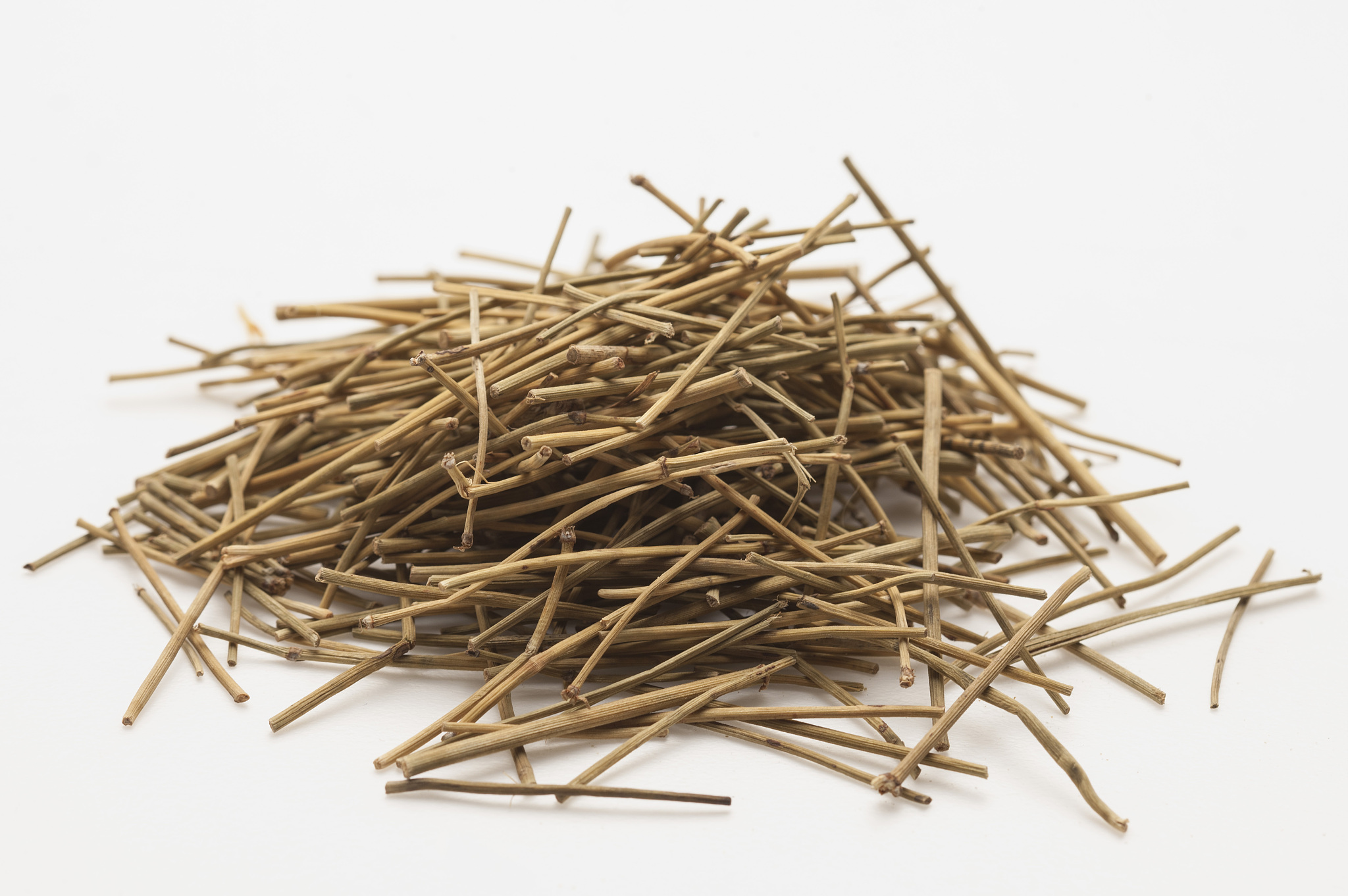 阳明病无汗，身痒如虫行？中医解释及治疗方法