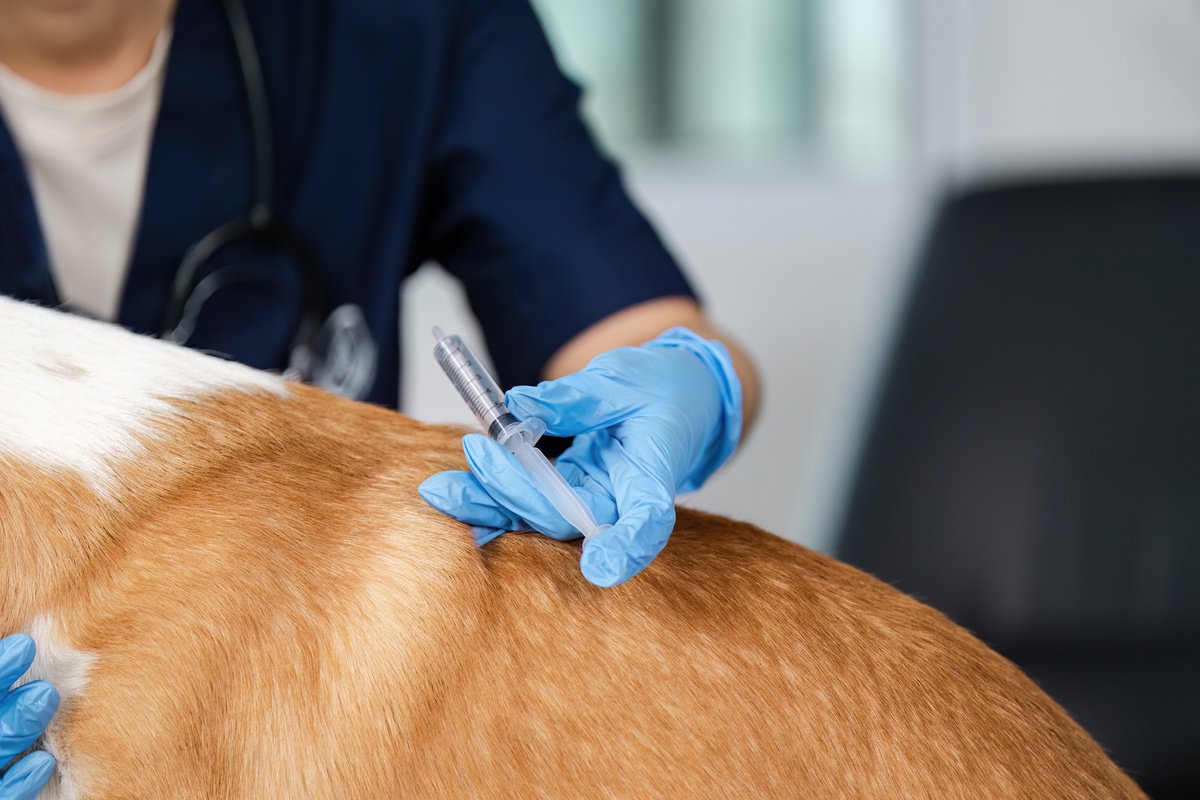 河南农业职业学院兽医医药专业好就业吗