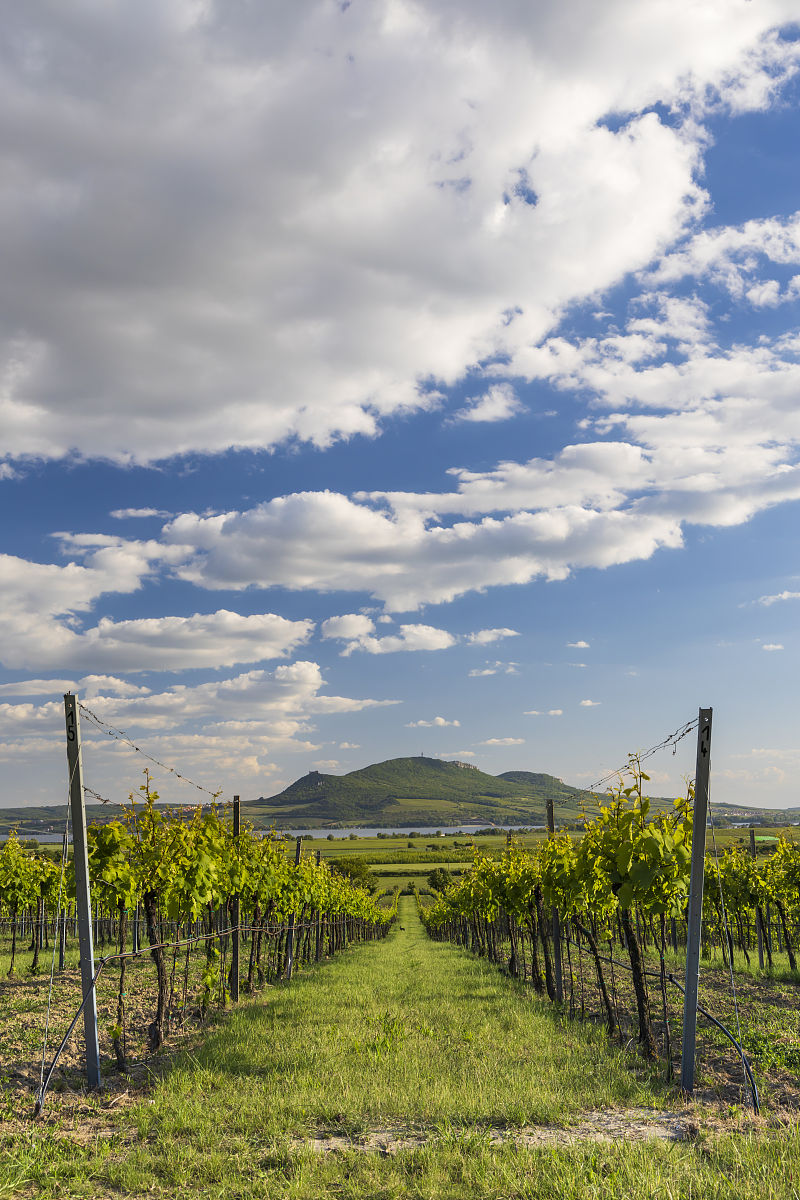 高精度测量仪 - 通过国家和国际标准认证，广泛应用于欧洲和中国