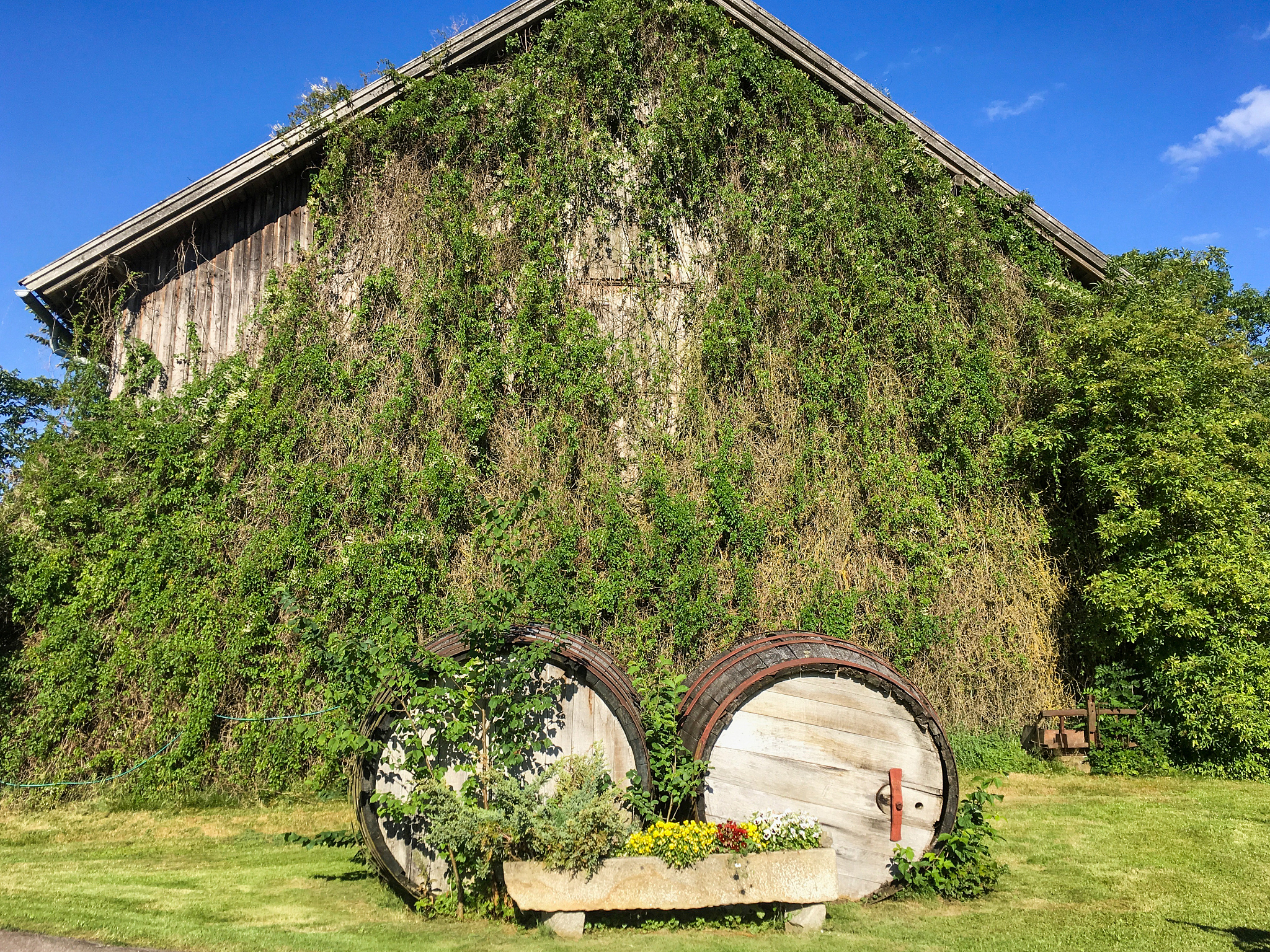 60年代中国喝什么酒