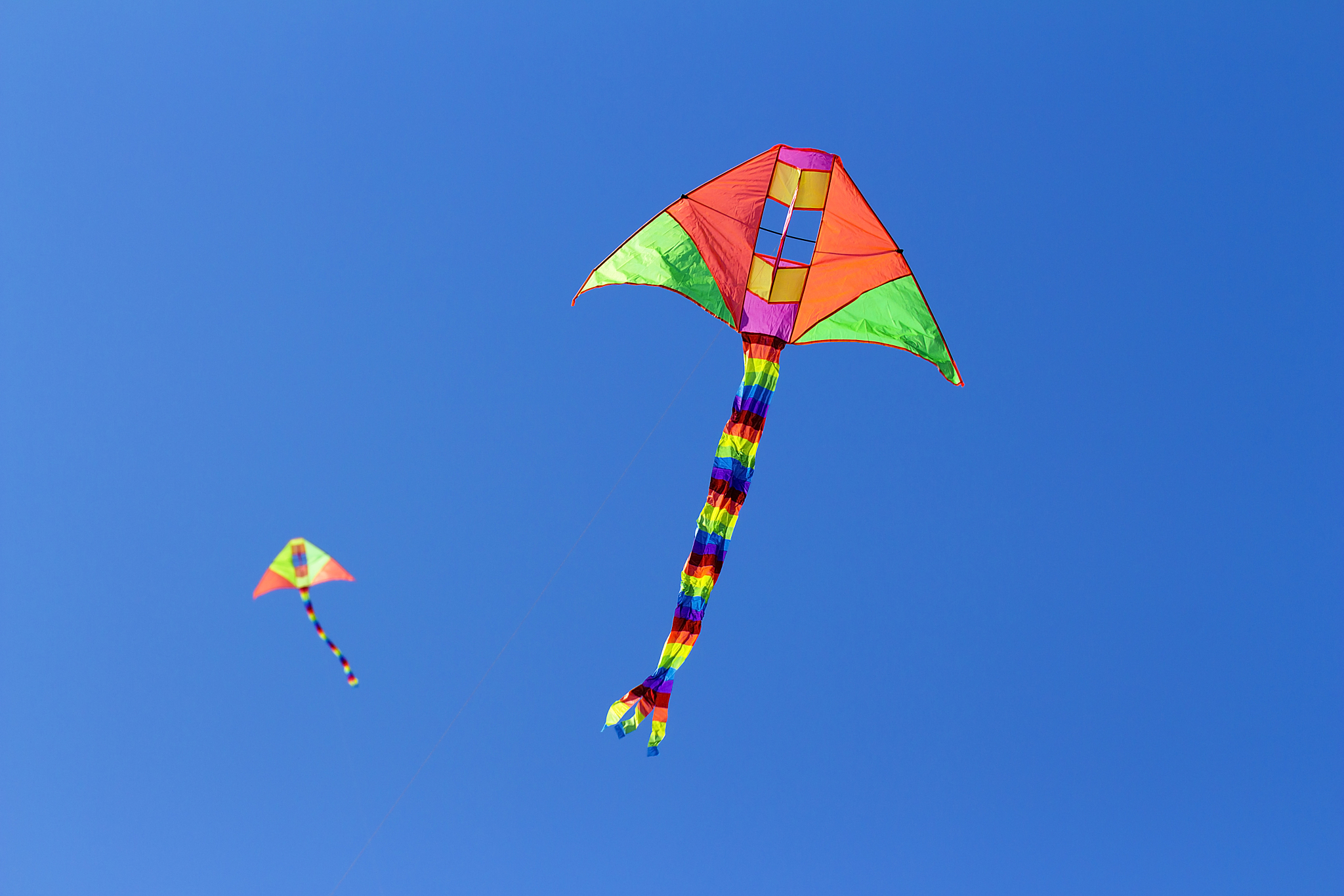 two kite in the sky