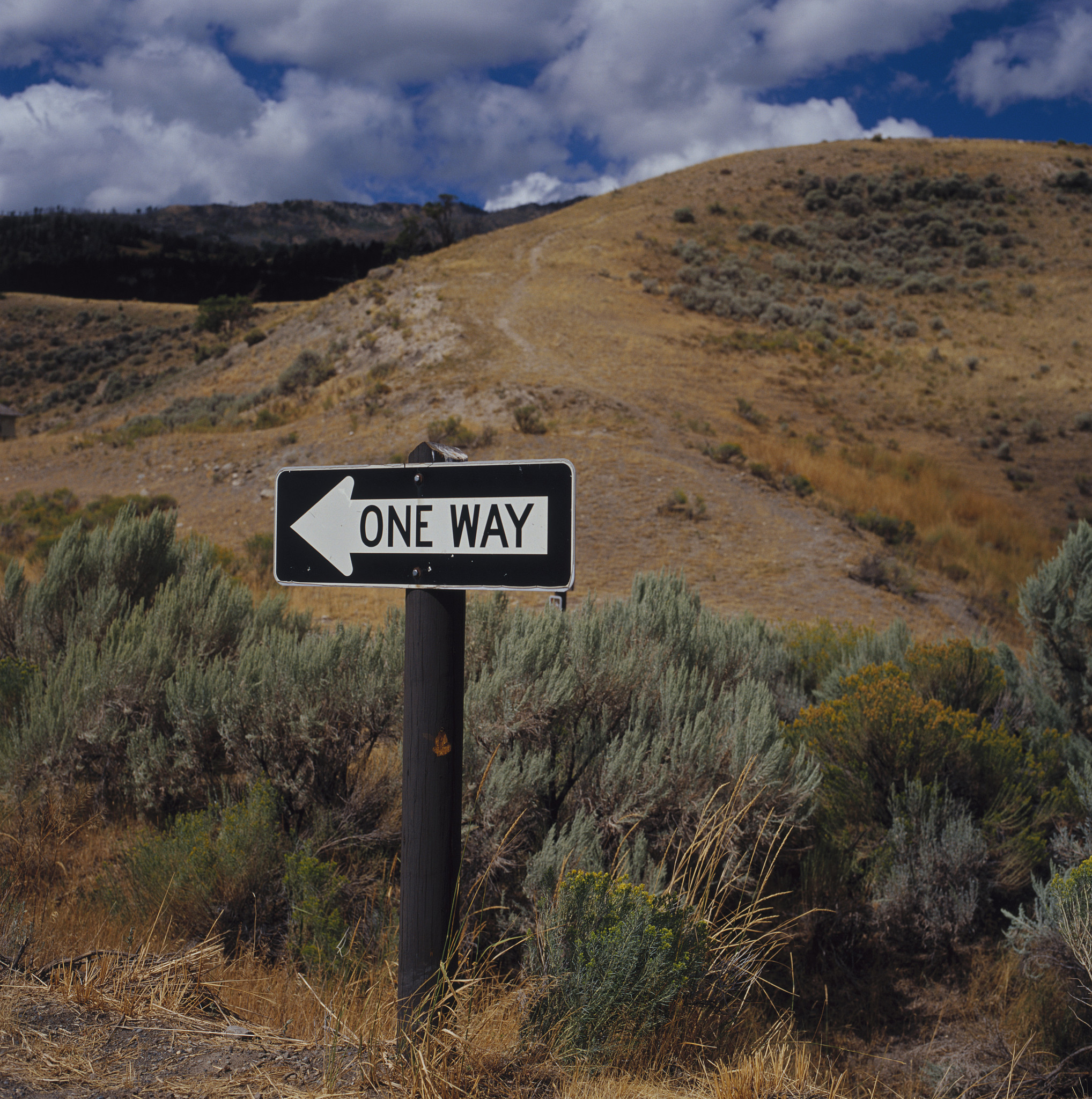 地平线5手游：超刺激的顶级赛车游戏体验！