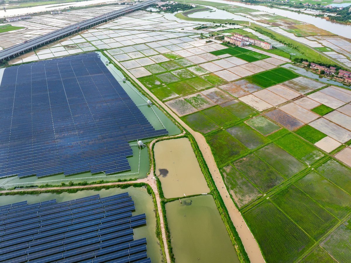 人类学视角：农民种子网络助力钦州三娘湾村渔业社区可持续发展