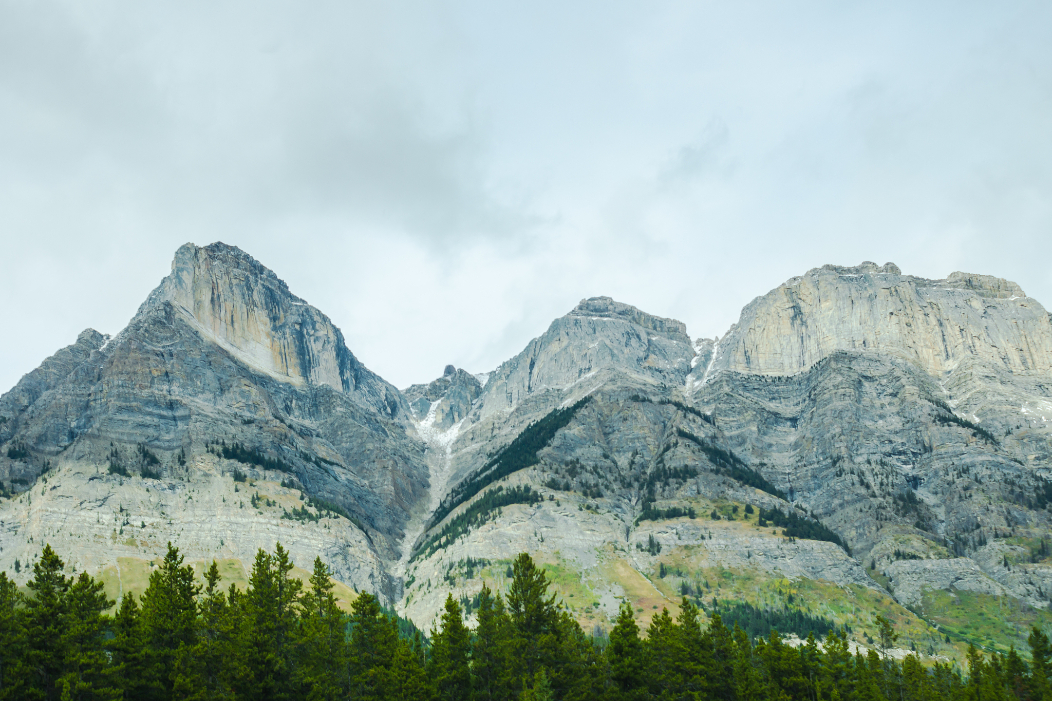 colours of autumn along the road from jasper national park | ice