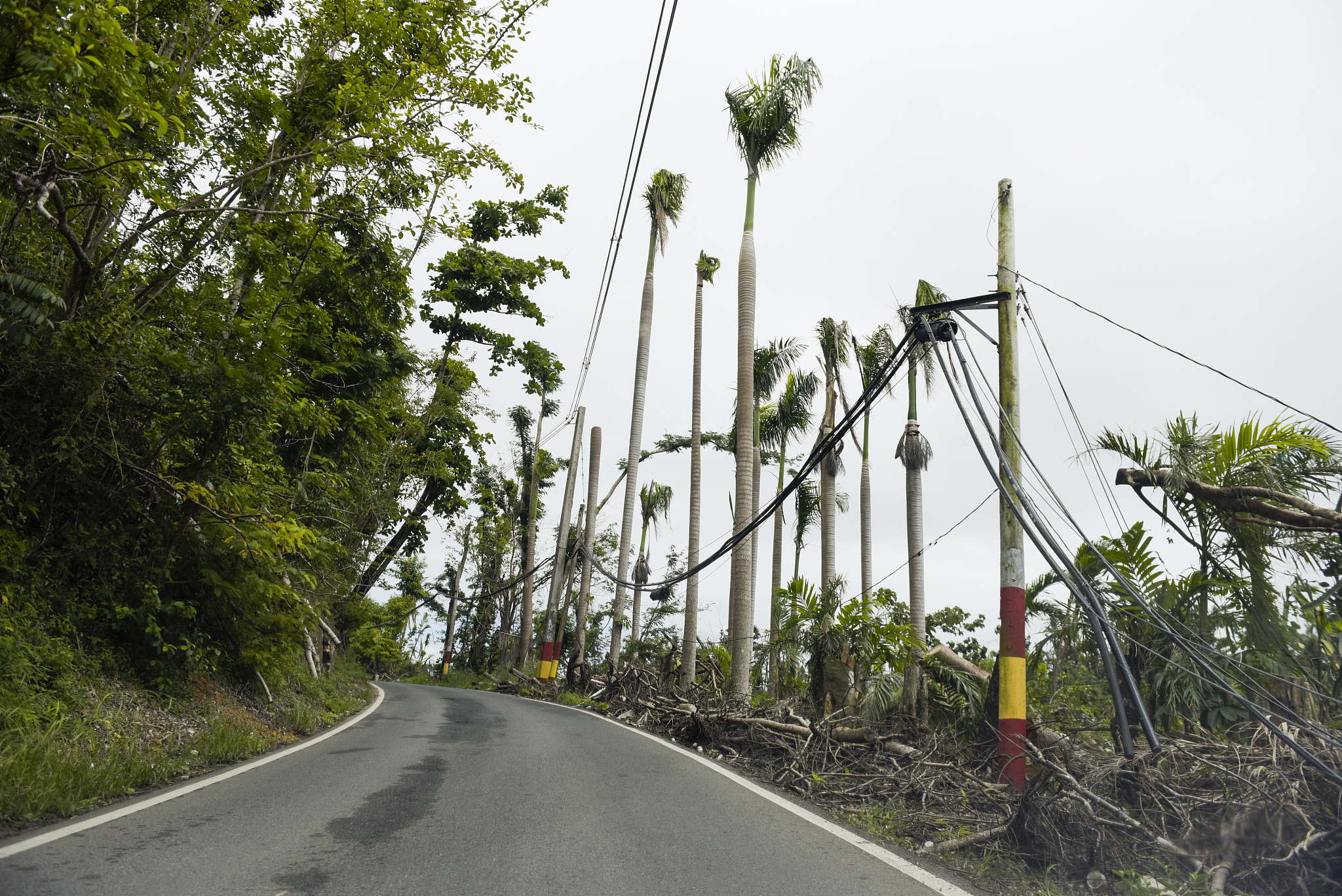 将下列句子扩写：实际案例中并不是一种灾害发生后一定能引发次生灾害。所以要利用概率统计方法先构建灾害链事件树来分析灾害发生后可能引发的次生灾害再计算次生灾害发生的条件概率。