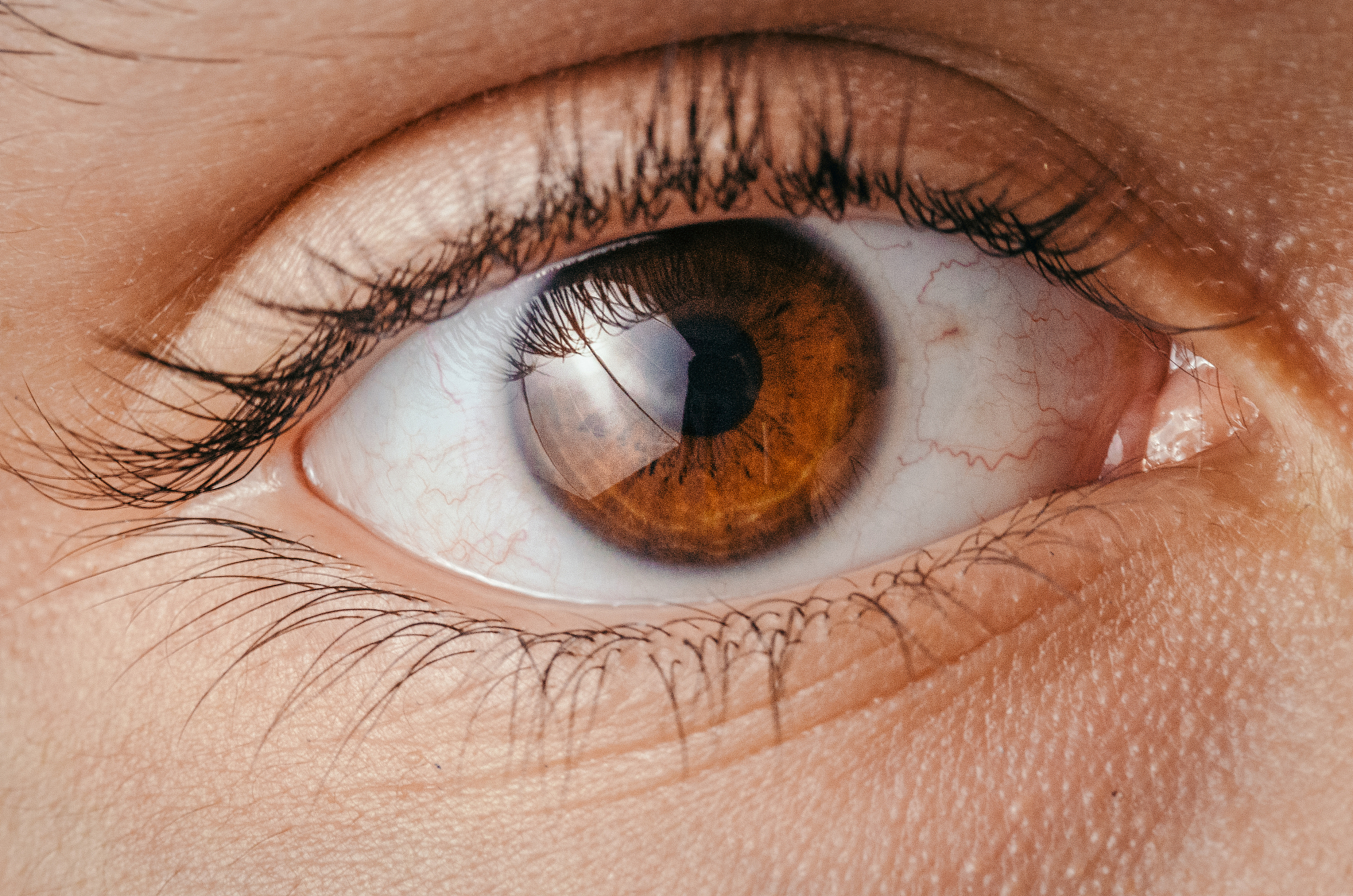 brown eye