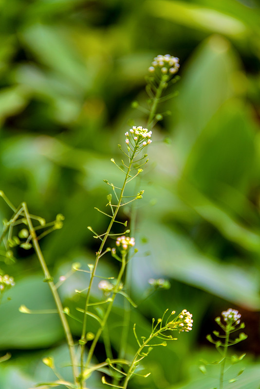 中国经济高质量发展：实现路径与关键要素