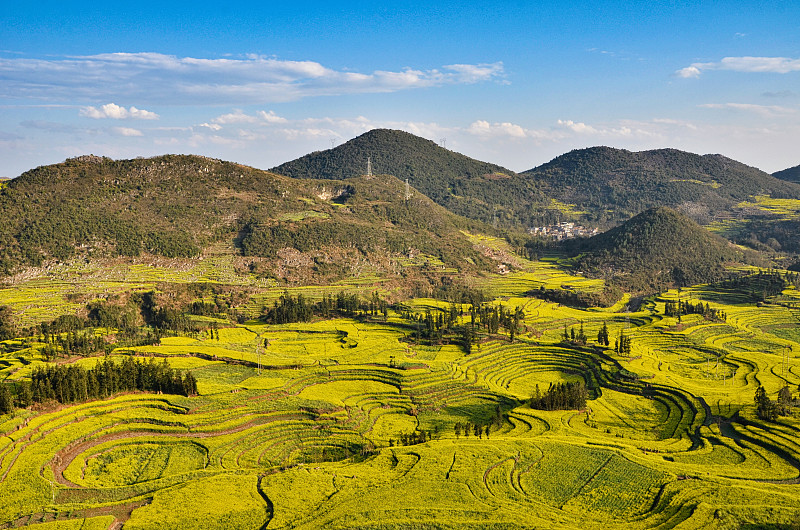 云南曲靖农校2019年五年制大专招生报名咨询QQ