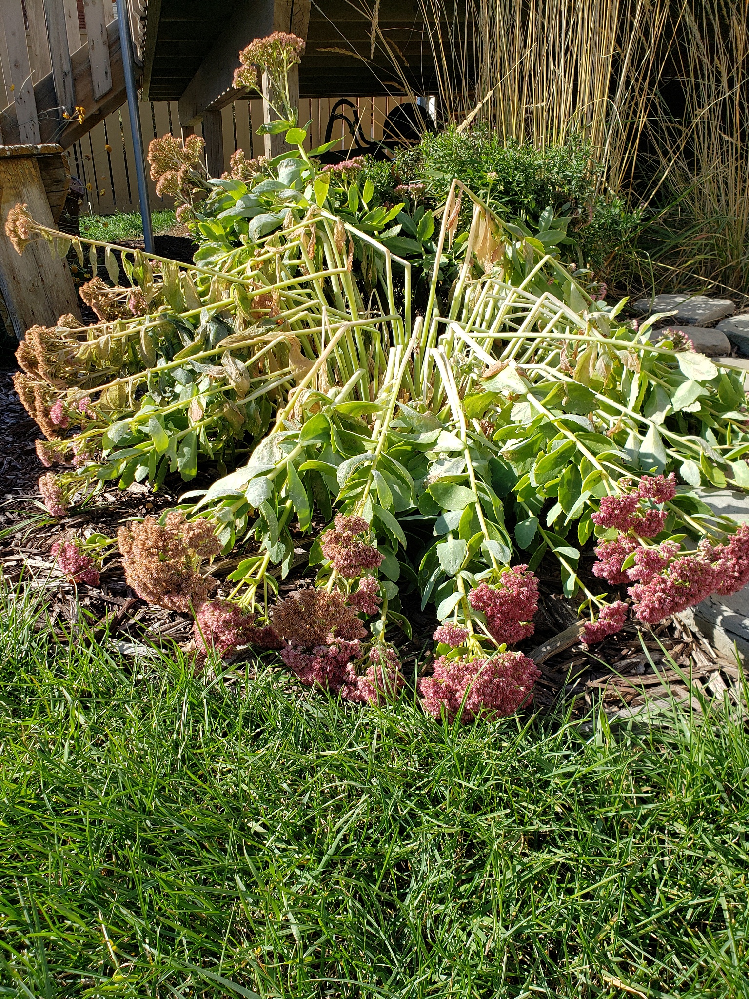 生成PLANTERS & RAISED BEDS英文描述