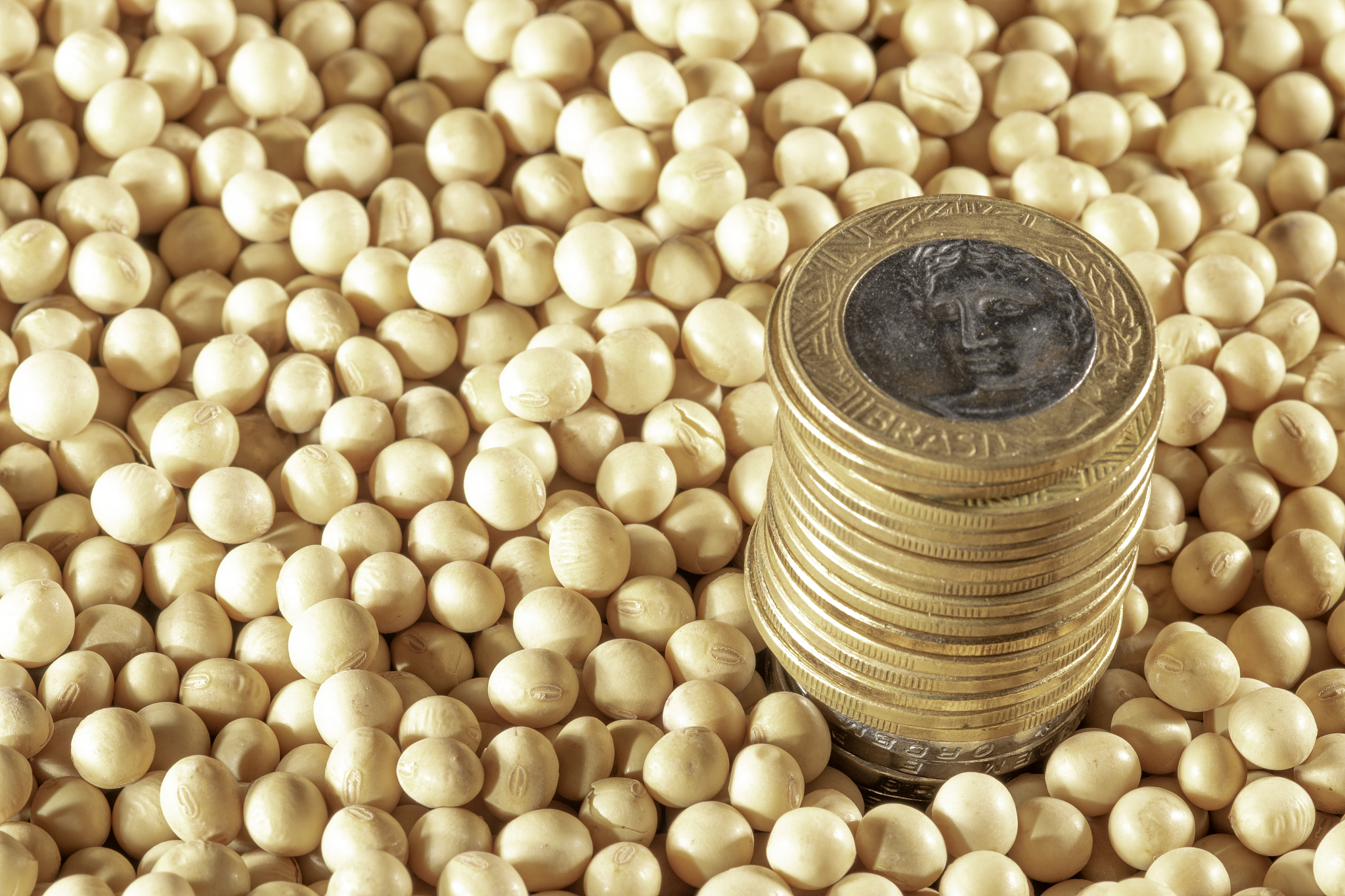 巴西大豆运输：水分控制与霉变风险