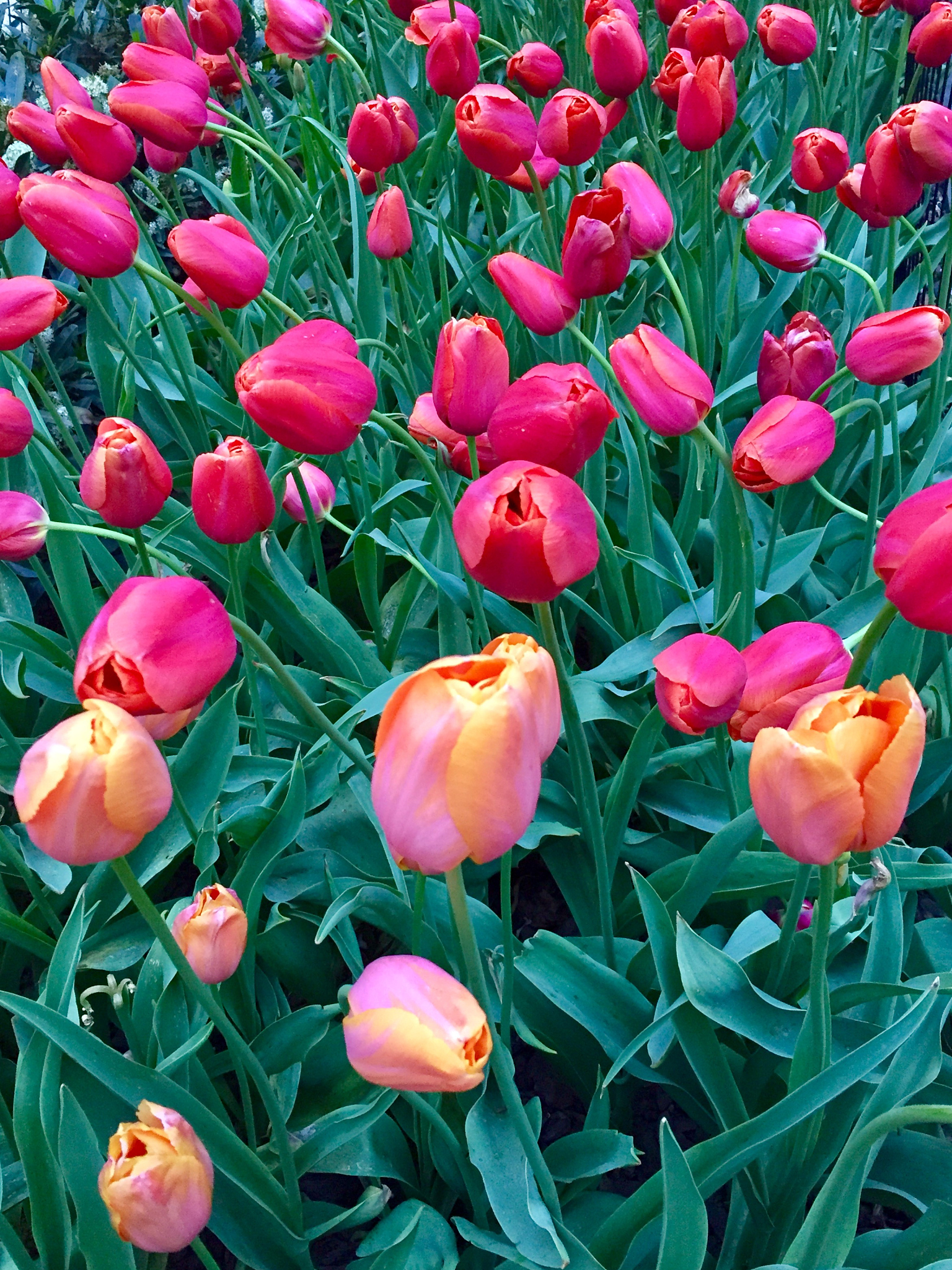 重庆中华职业学校2021年招生专业一览