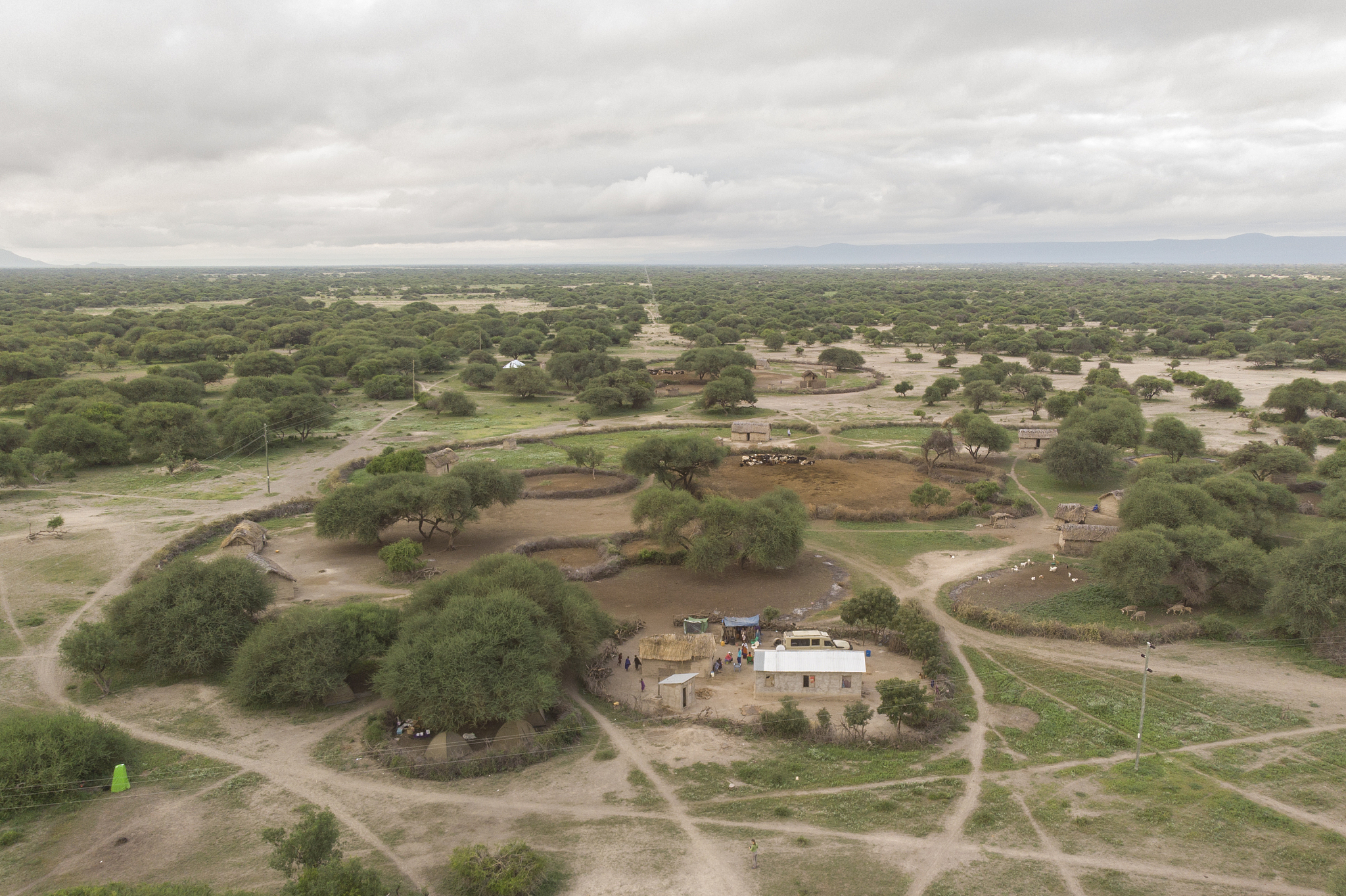aerial view of maasai boma