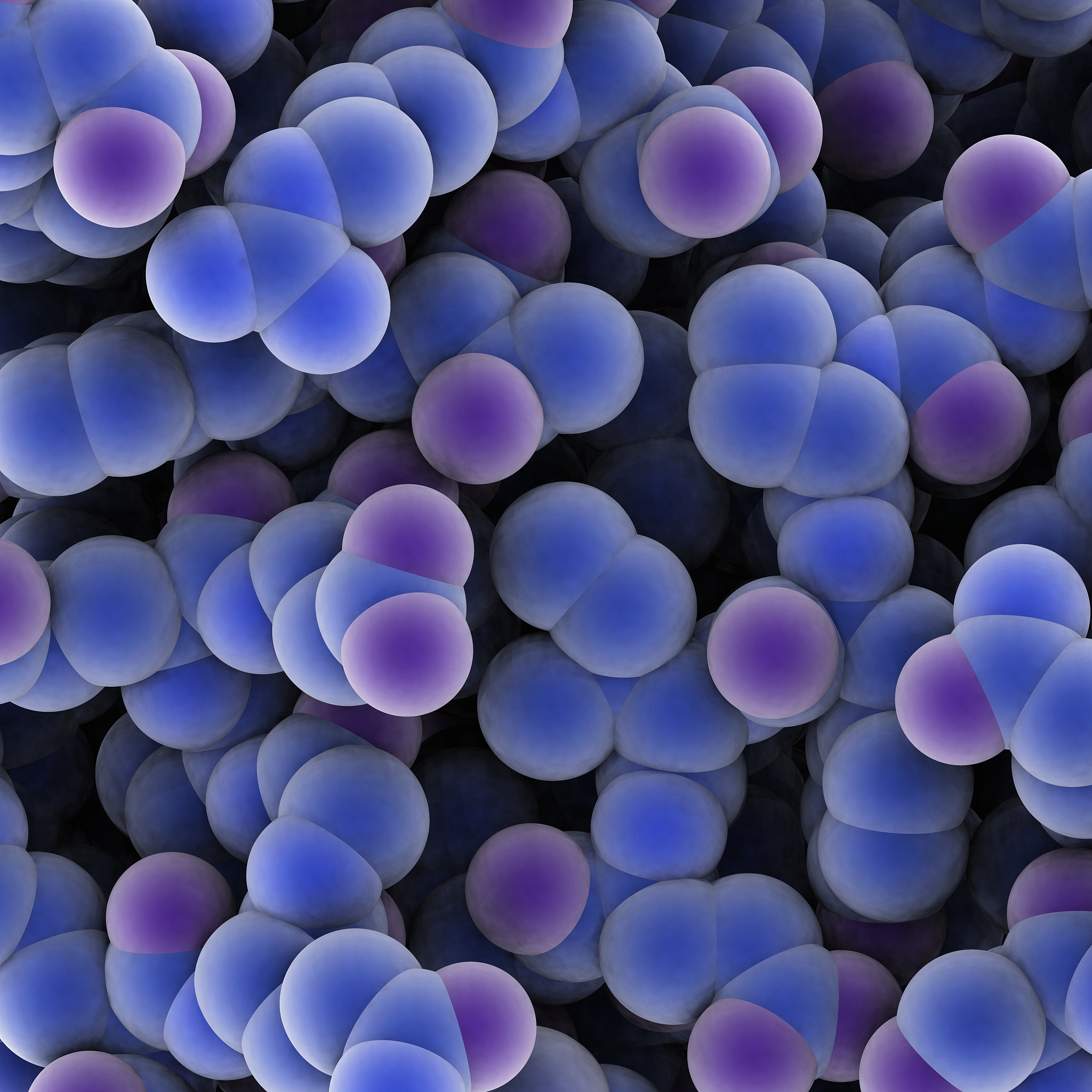 细菌纤维素：一种具有广泛应用前景的特殊材料