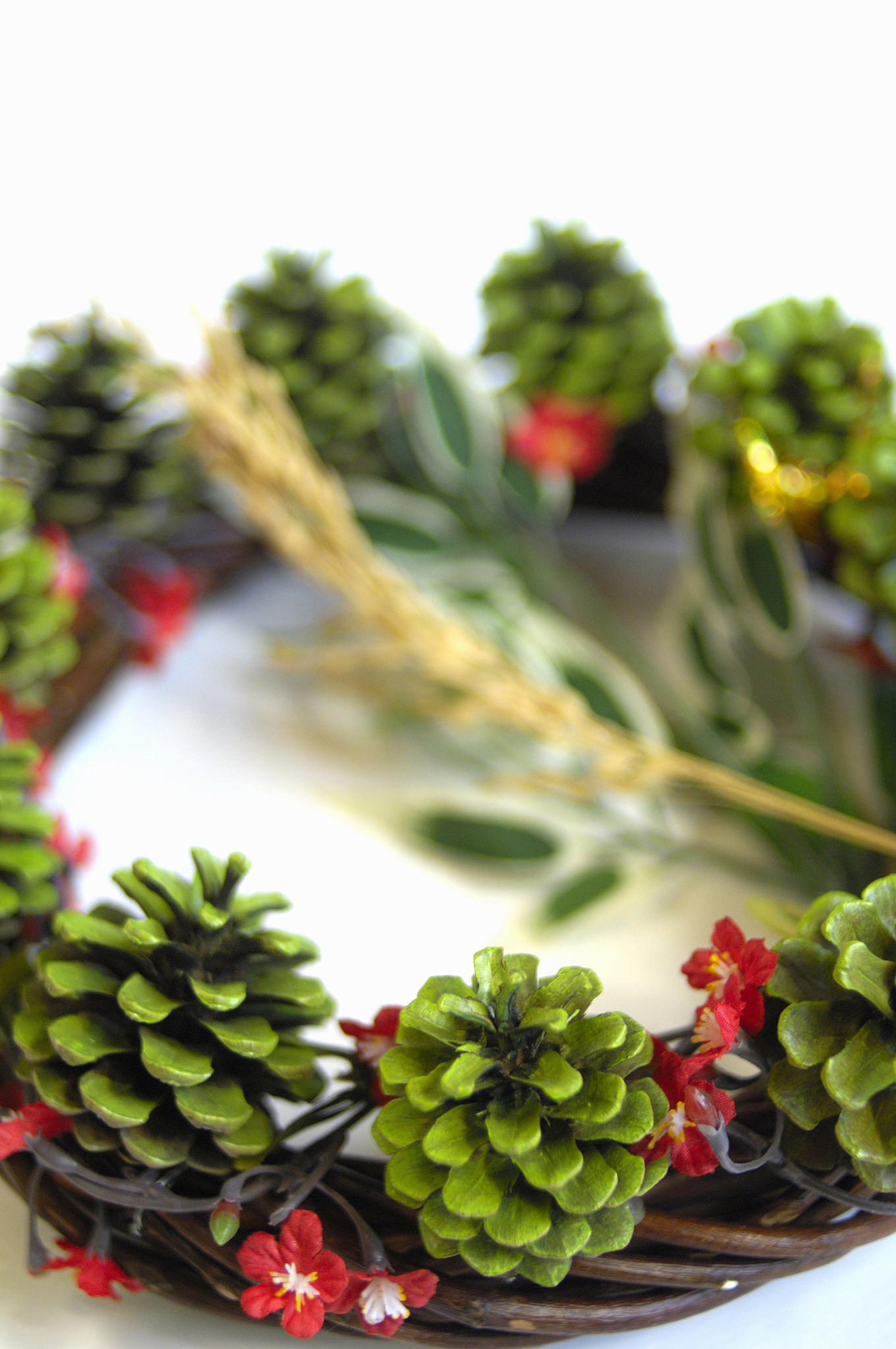 农村集体土地租赁合同