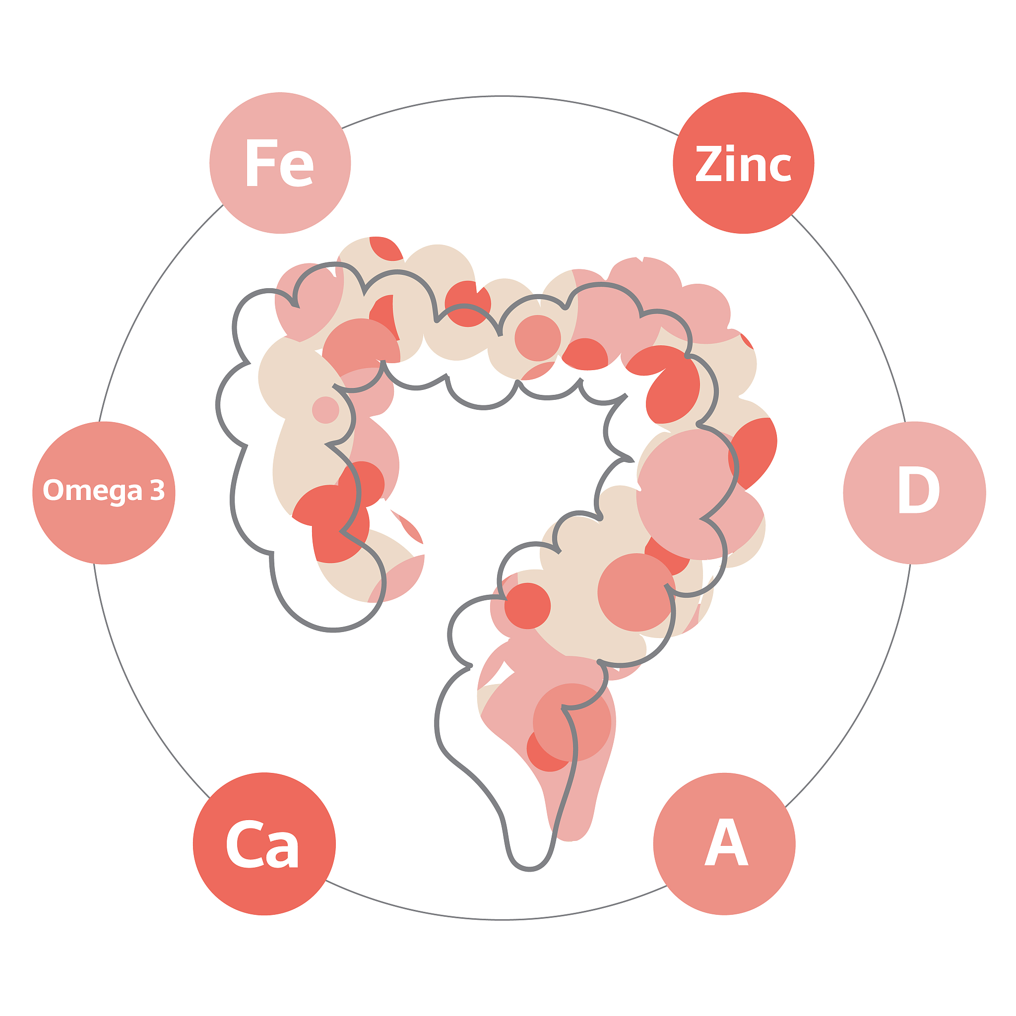 晚睡晚起影响智商、肠道、感官和学习能力？揭秘背后的机制