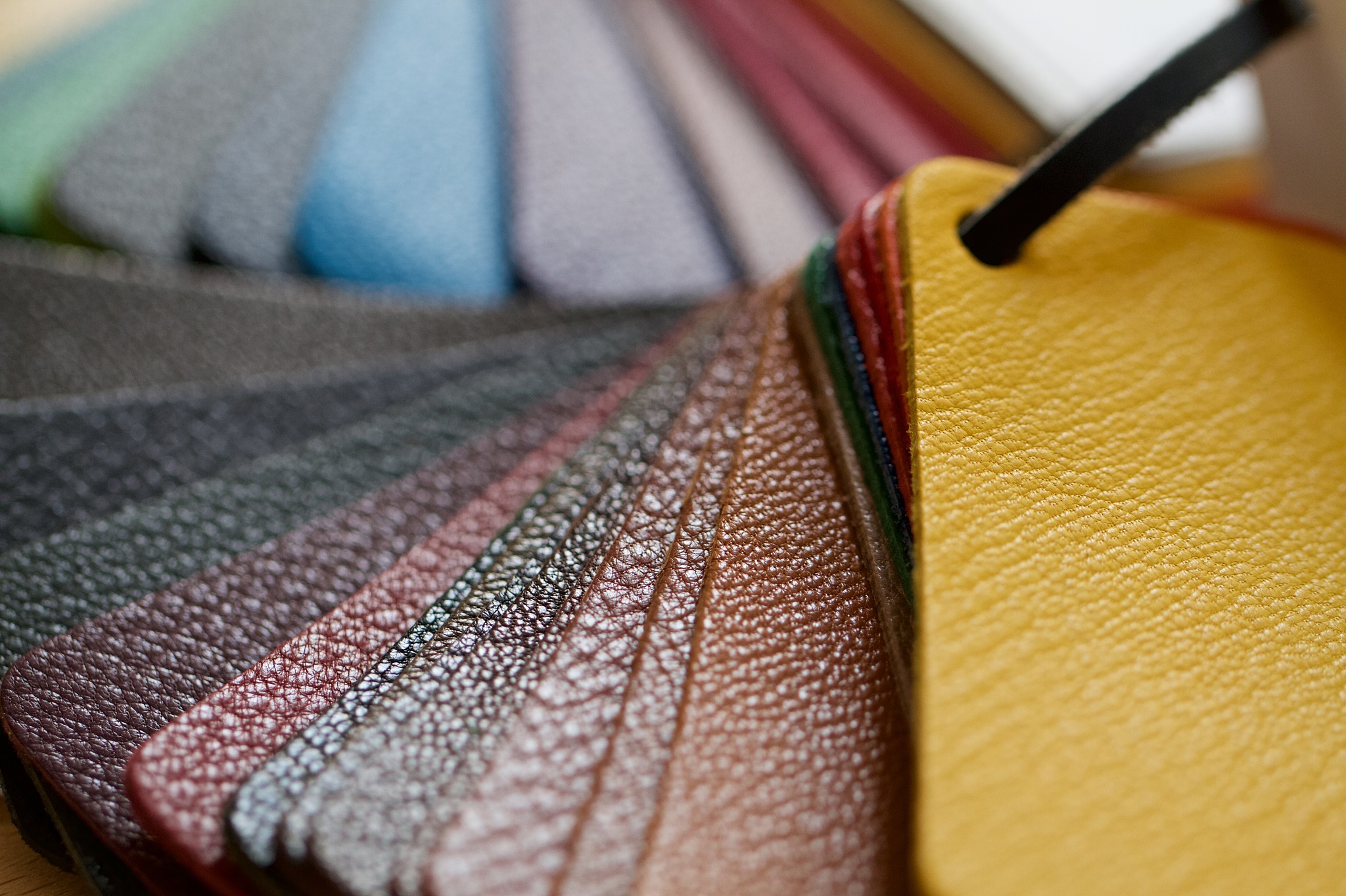 皮革工艺专业发展前景如何用发