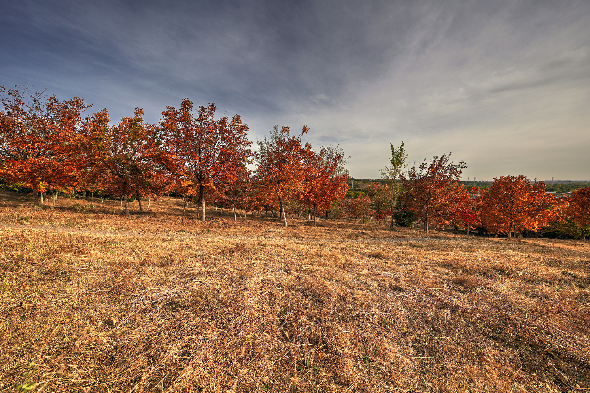 探秘秋天：关于秋天的7个奇妙现象